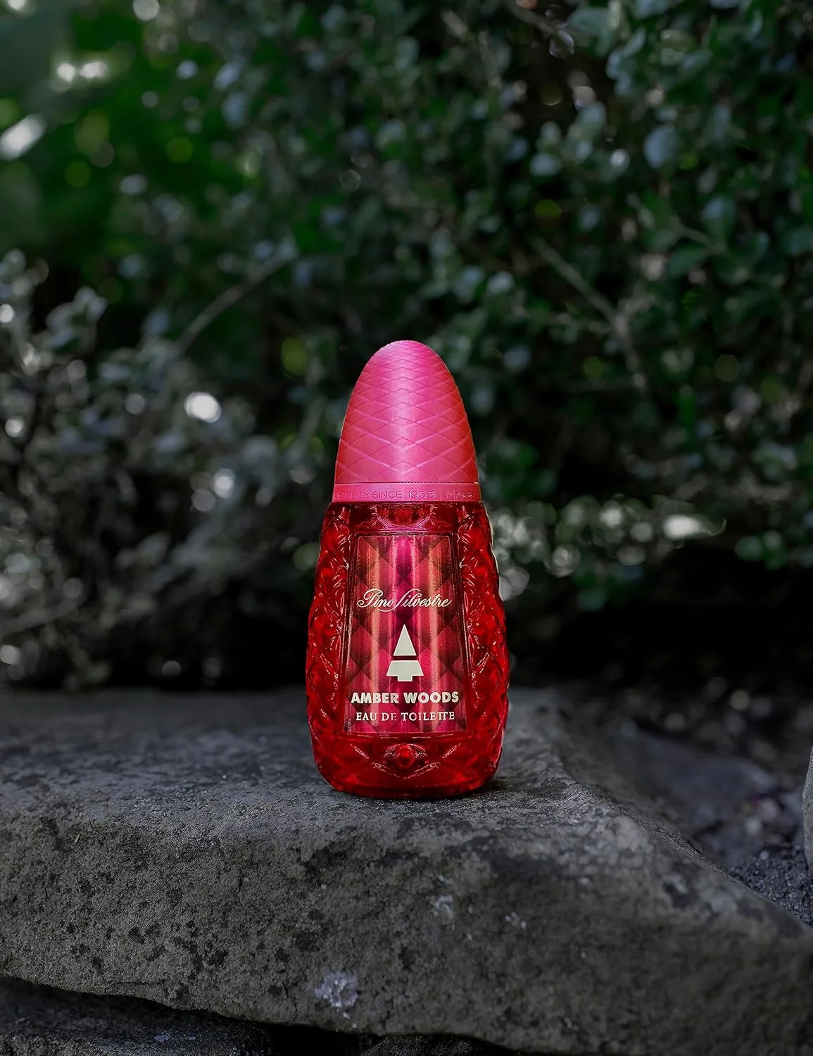 پینو سیلوستره امبر وودز پینو سیلوستره امبر وودز