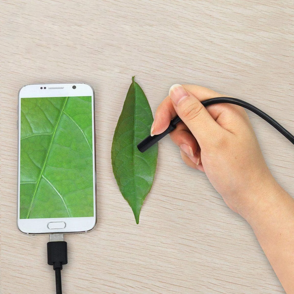 دوربین بازرسی آندوسکوپی USB 2 در 1 برای اندروید و کامپیوتر - 5 متر دوربین بازرسی آندوسکوپی USB 2 در 1 برای اندروید و کامپیوتر - 5 متر