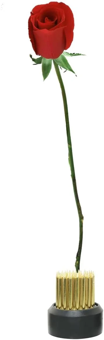 پایه نگهدارنده گل مالینک، 3 عددی، گرد، ابزار ثابت کننده هنر گل آرایی، پایه لاستیکی، دکور گل برای چیدمان گل، تثبیت گیاه (23mm, 26mm, 34mm) پایه نگهدارنده گل مالینک، 3 عددی، گرد، ابزار ثابت کننده هنر گل آرایی، پایه لاستیکی، دکور گل برای چیدمان گل، تثبیت گیاه (23mm, 26mm, 34mm)