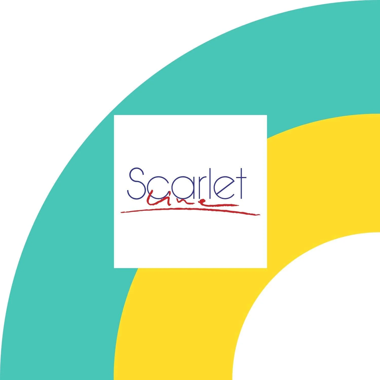 برس مو پارویی کوچک Scarlet Line Professional با روکش مات و آینه پشتی، مناسب برای آقایان و بانوان، رنگ مشکی برس مو پارویی کوچک Scarlet Line Professional با روکش مات و آینه پشتی، مناسب برای آقایان و بانوان، رنگ مشکی