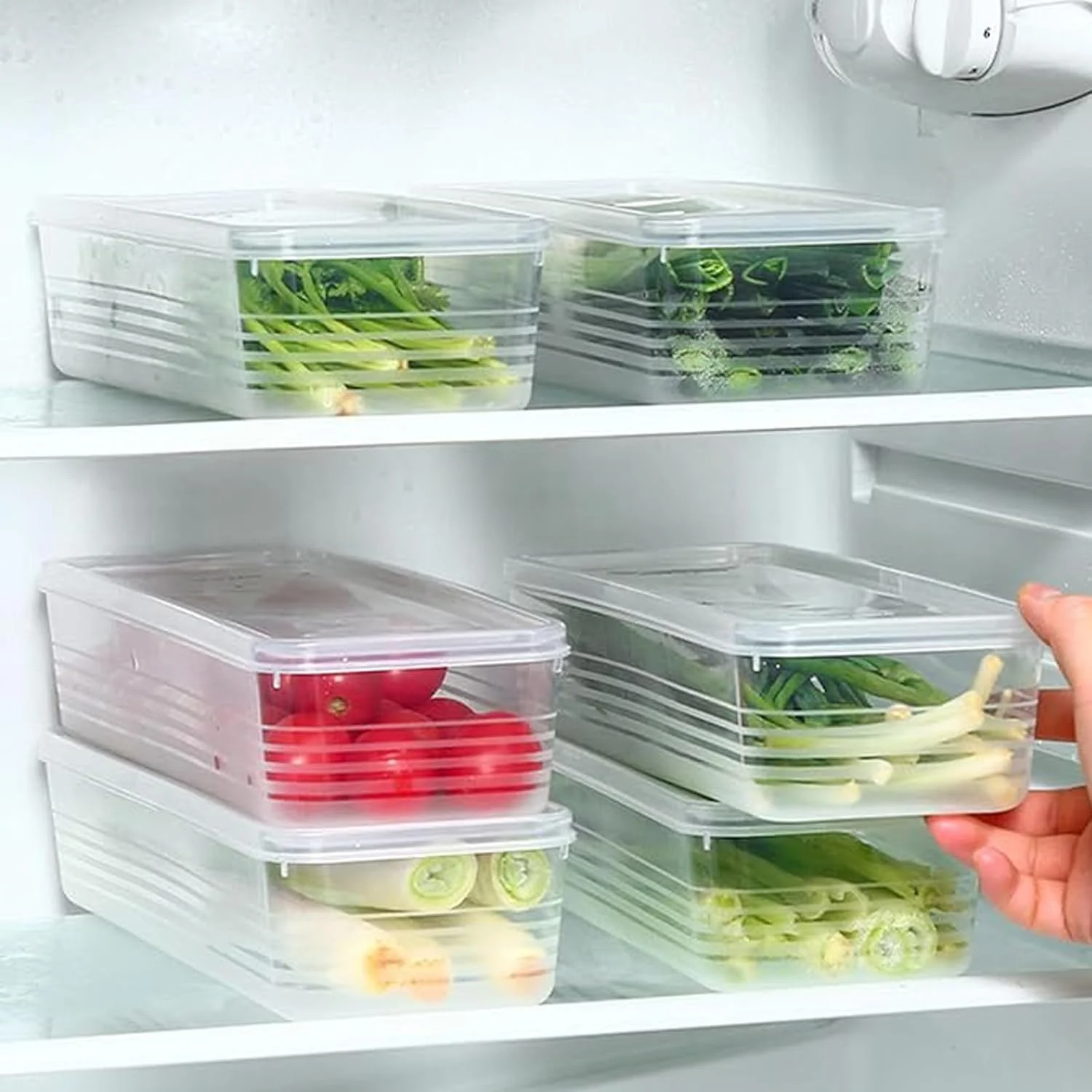 ظروف نگهداری مواد غذایی ساهری، 6 عددی، ظروف پلاستیکی درب دار مناسب برای نگهداری پیازچه، گشنیز، پیاز سبز، نعناع یا مواد غذایی خشک، تنقلات و غلات.