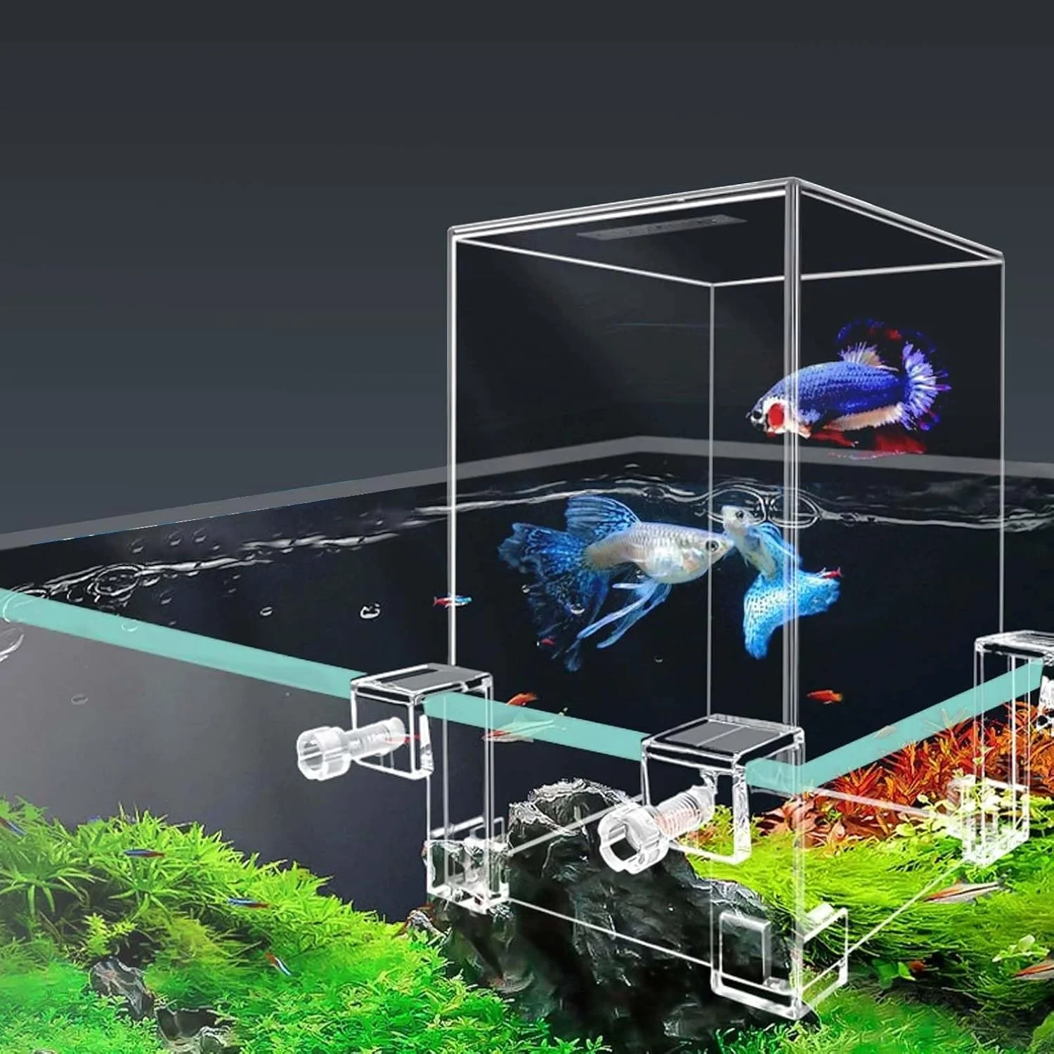 لوازم جانبی آکواریوم ماهی با فشار منفی خلاقانه SUSOO با براکت های جهانی - کیت آسانسور ماهی آکریلیک قابل ارتقا و پر کردن خودکار آب، دکوراسیون آکواریوم دیواری برای آکواریوم های با ضخامت 2 تا 18 میلی متر لوازم جانبی آکواریوم ماهی با فشار منفی خلاقانه SUSOO با براکت های جهانی - کیت آسانسور ماهی آکریلیک قابل ارتقا و پر کردن خودکار آب، دکوراسیون آکواریوم دیواری برای آکواریوم های با ضخامت 2 تا 18 میلی متر