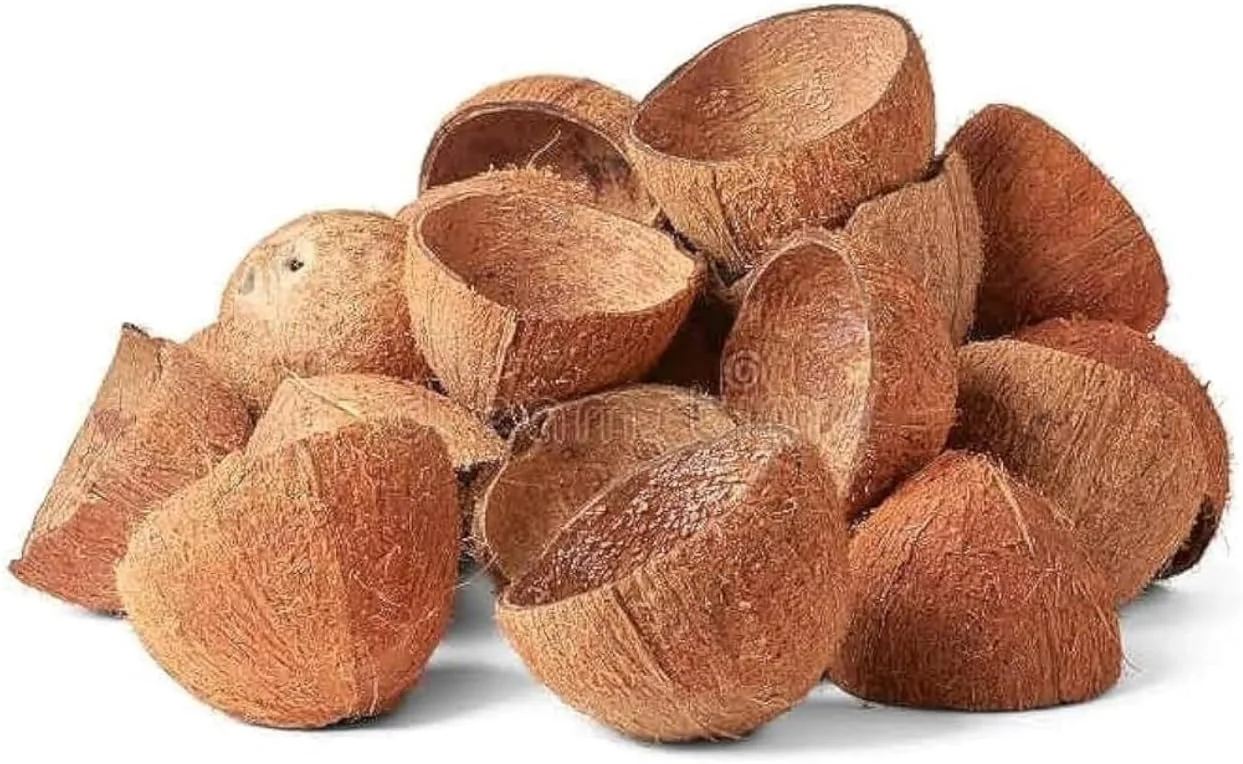 نصف پوسته نارگیل