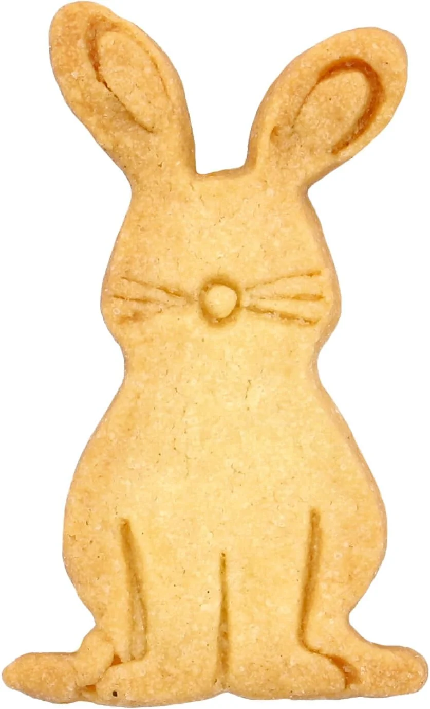 قالب شیرینی پزی خرگوش نشسته RBV Birkmann، استیل ضد زنگ، 2.5 x 4 x 7 سانتی متر، 189294 قالب شیرینی پزی خرگوش نشسته RBV Birkmann، استیل ضد زنگ، 2.5 x 4 x 7 سانتی متر، 189294