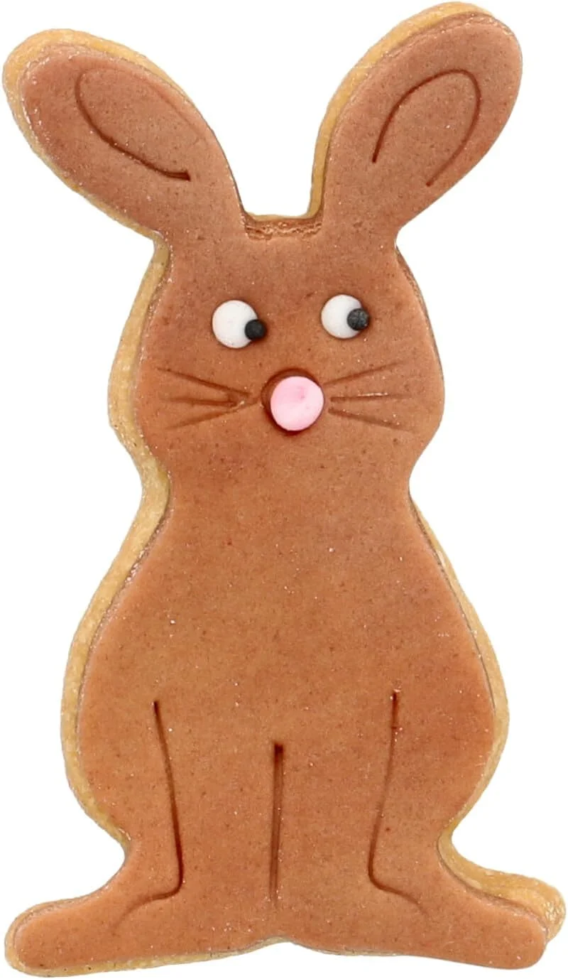 قالب شیرینی پزی خرگوش نشسته RBV Birkmann، استیل ضد زنگ، 2.5 x 4 x 7 سانتی متر، 189294 قالب شیرینی پزی خرگوش نشسته RBV Birkmann، استیل ضد زنگ، 2.5 x 4 x 7 سانتی متر، 189294