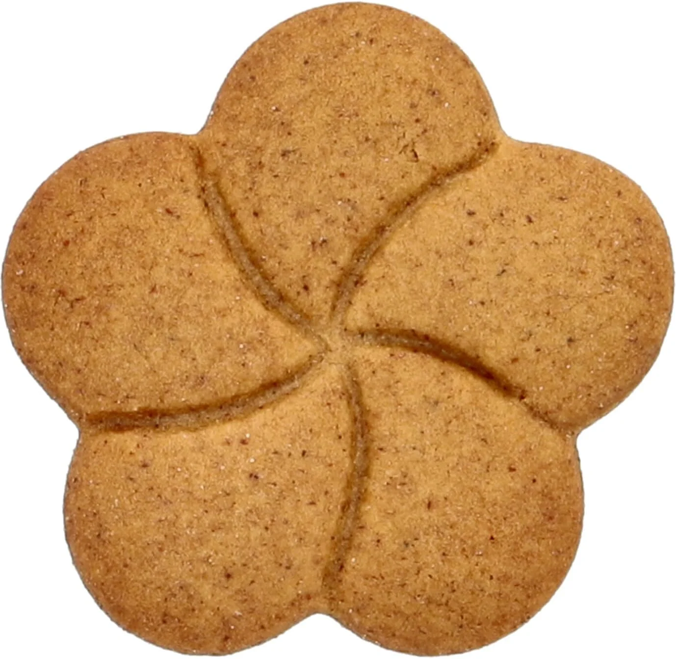 قالب کوکی گل بیرکمن مدل RBV، استیل ضد زنگ، 2.5 x 4 x 4 سانتی متر، 189423 قالب کوکی گل بیرکمن مدل RBV، استیل ضد زنگ، 2.5 x 4 x 4 سانتی متر، 189423