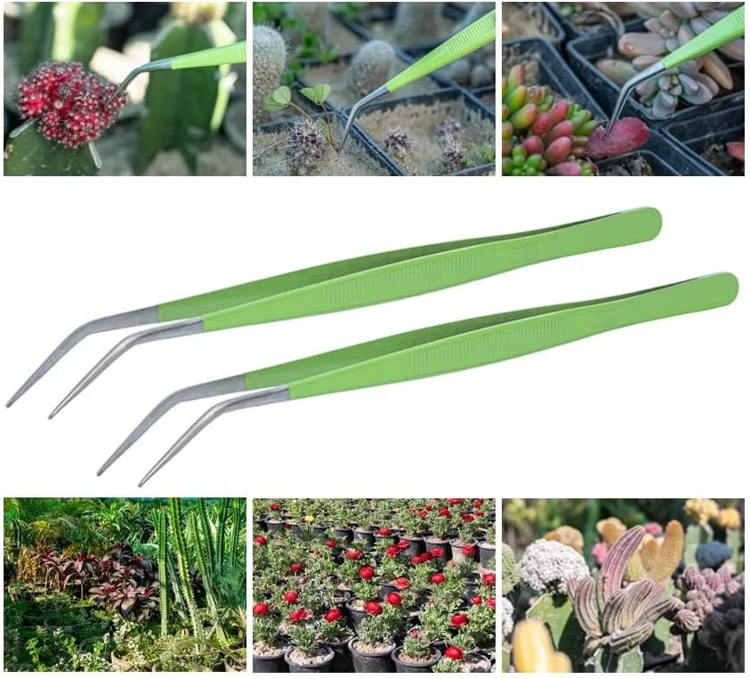 ست دو عددی موچین باغبانی استیل HADIZ با نوک خمیده برای باغبانی کاکتوس و گیاهان گوشتی (خمیده) ست دو عددی موچین باغبانی استیل HADIZ با نوک خمیده برای باغبانی کاکتوس و گیاهان گوشتی (خمیده)