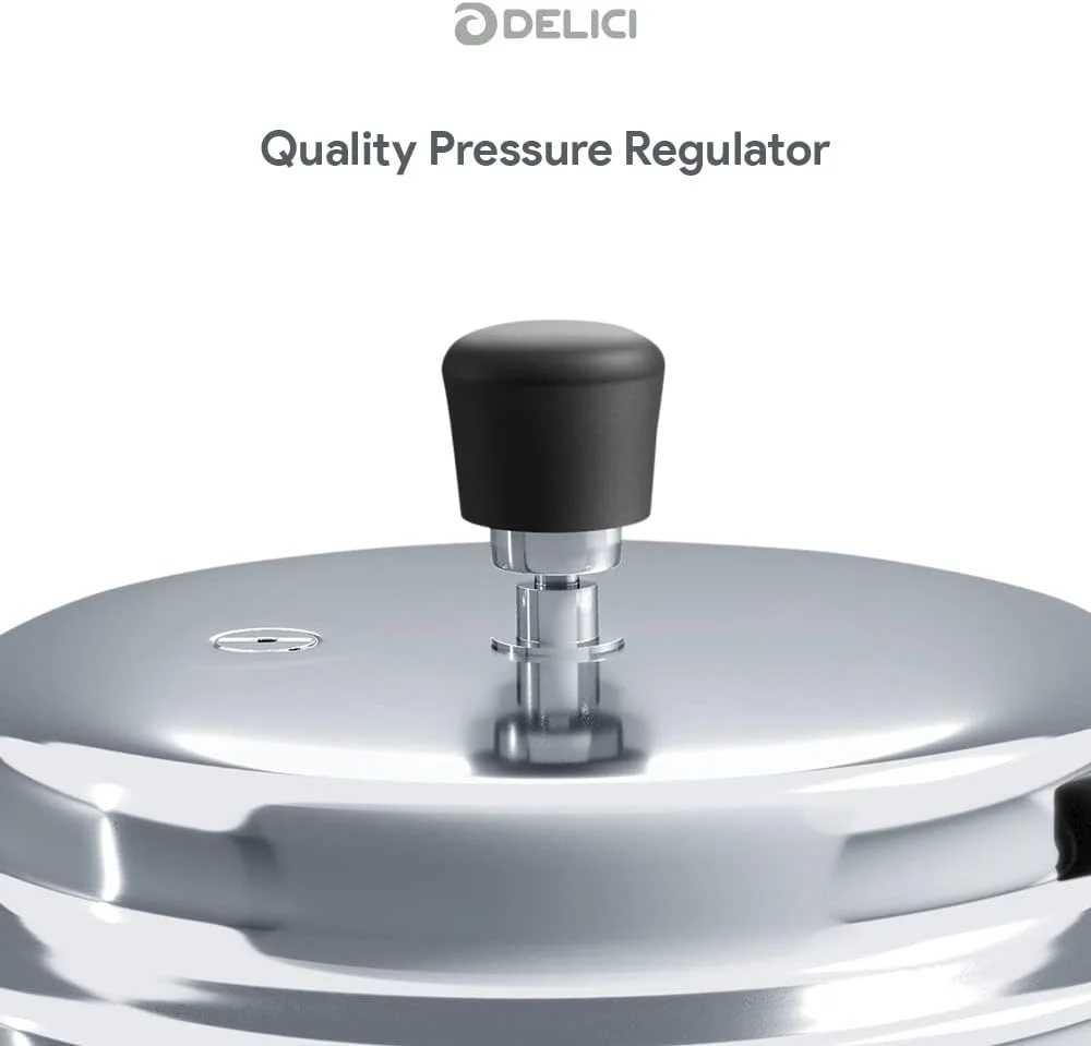 زودپز 3 لیتری استیل DELICI SPC3E