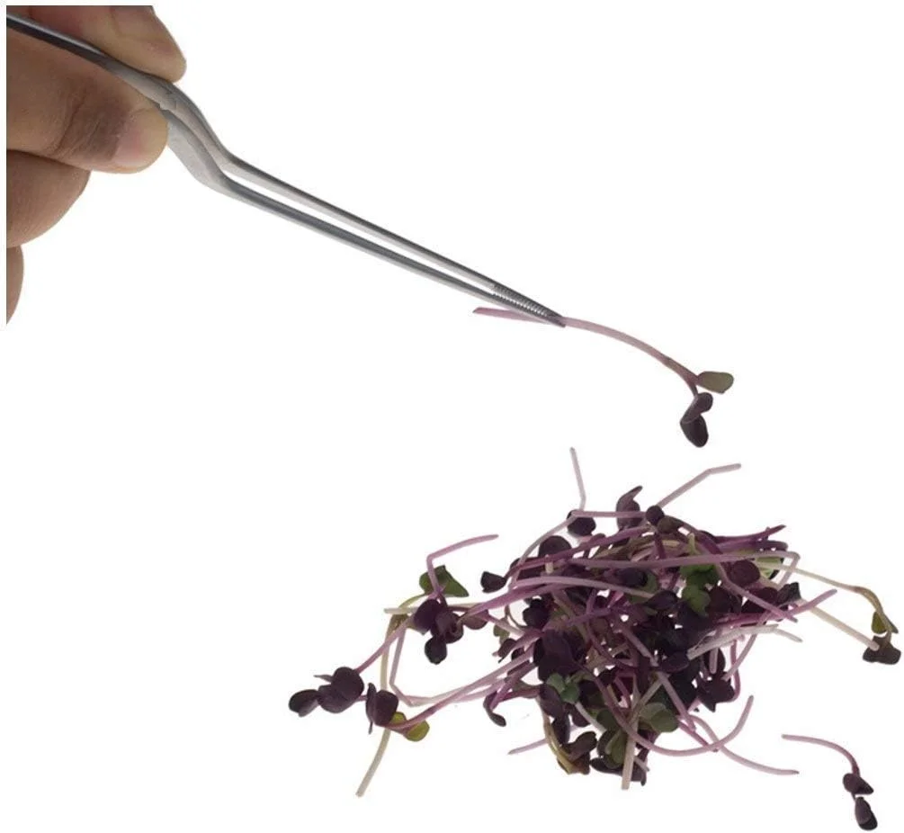 انبر آشپزی مشکی NJ OVERSEAS، 6.3 اینچ، انبر آشپزخانه برای چیدمان غذا، طراحی انبری استیل ضد زنگ، فورسپس سرنیزه ای دقیق با نوک ظریف افست - 1 عدد. انبر آشپزی مشکی NJ OVERSEAS، 6.3 اینچ، انبر آشپزخانه برای چیدمان غذا، طراحی انبری استیل ضد زنگ، فورسپس سرنیزه ای دقیق با نوک ظریف افست - 1 عدد.