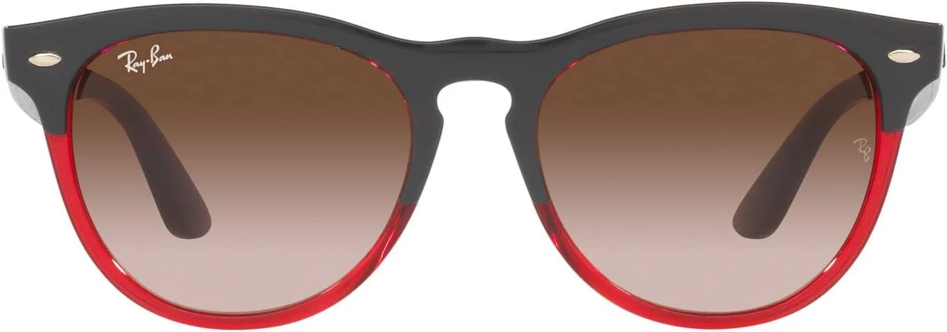 عینک آفتابی گرد Ray-Ban RB4471 Iris