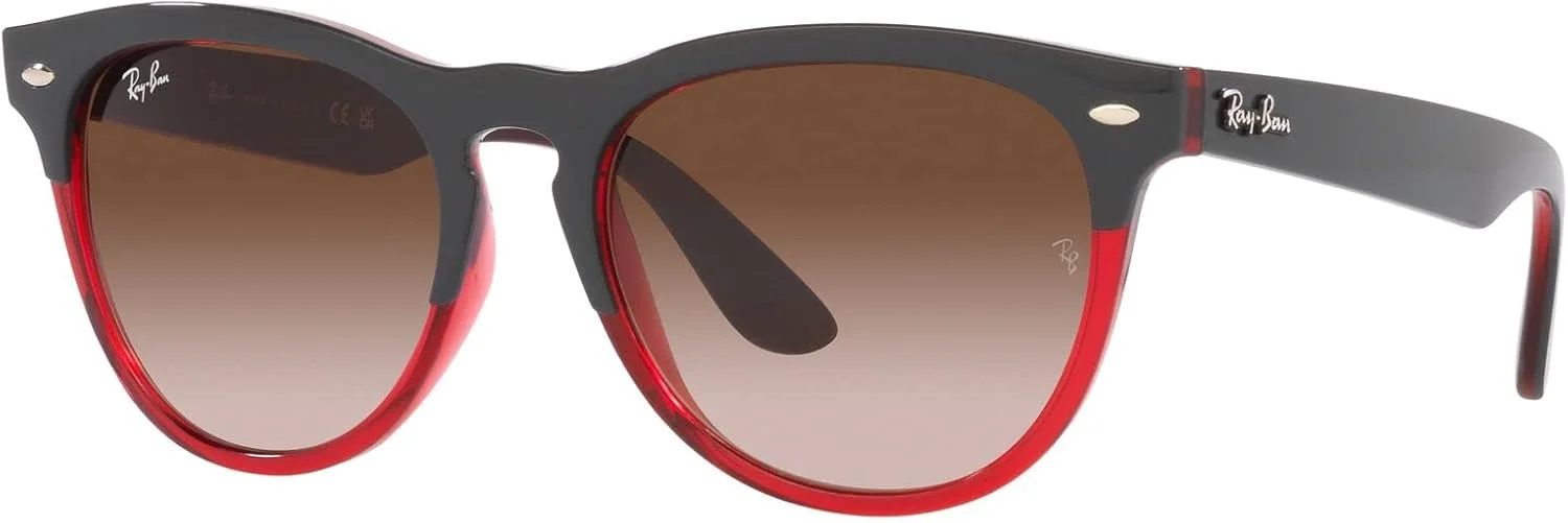 عینک آفتابی گرد Ray-Ban RB4471 Iris