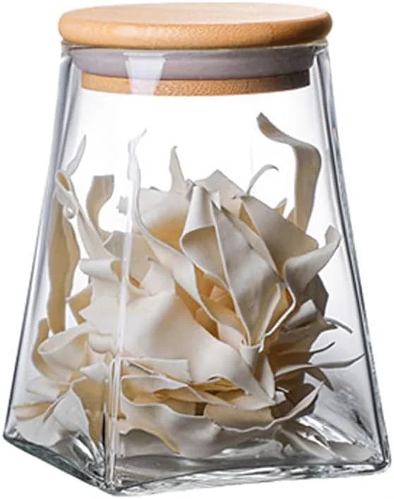 ظروف شیشه ای KASTWAVE با درب بامبو، ظروف نگهداری شیشه ای قهوه، ظروف آجیل، ظروف شیشه ای درب دار برای کوکی، ظروف شیشه ای شفاف برای آب نبات، چای، دانه های قهوه، شکر، ادویه جات، داروخانه و غیره (550 میلی لیتر)