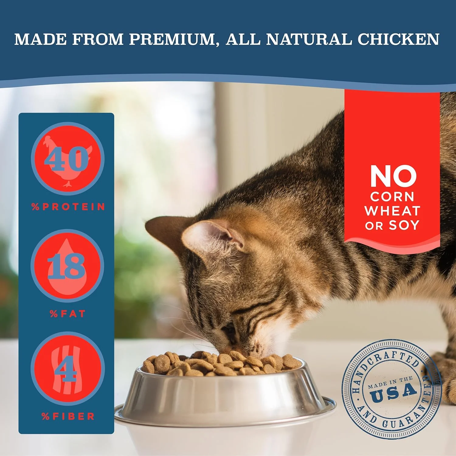 غذای خشک گربه با رژیم غذایی ویژه بلک وود، بدون غلات، با طعم مرغ و نخود فرنگی 6 کیلوگرم، 1 عدد غذای خشک گربه با رژیم غذایی ویژه بلک وود، بدون غلات، با طعم مرغ و نخود فرنگی 6 کیلوگرم، 1 عدد