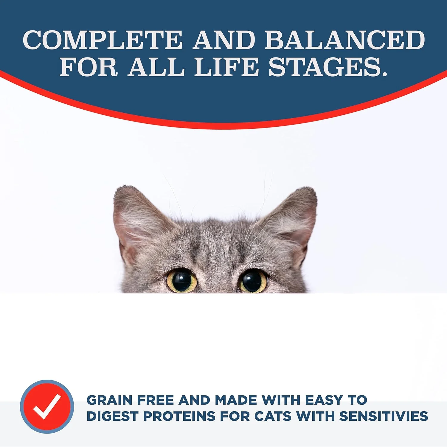 غذای خشک گربه با رژیم غذایی ویژه بلک وود، بدون غلات، با طعم مرغ و نخود فرنگی 6 کیلوگرم، 1 عدد غذای خشک گربه با رژیم غذایی ویژه بلک وود، بدون غلات، با طعم مرغ و نخود فرنگی 6 کیلوگرم، 1 عدد