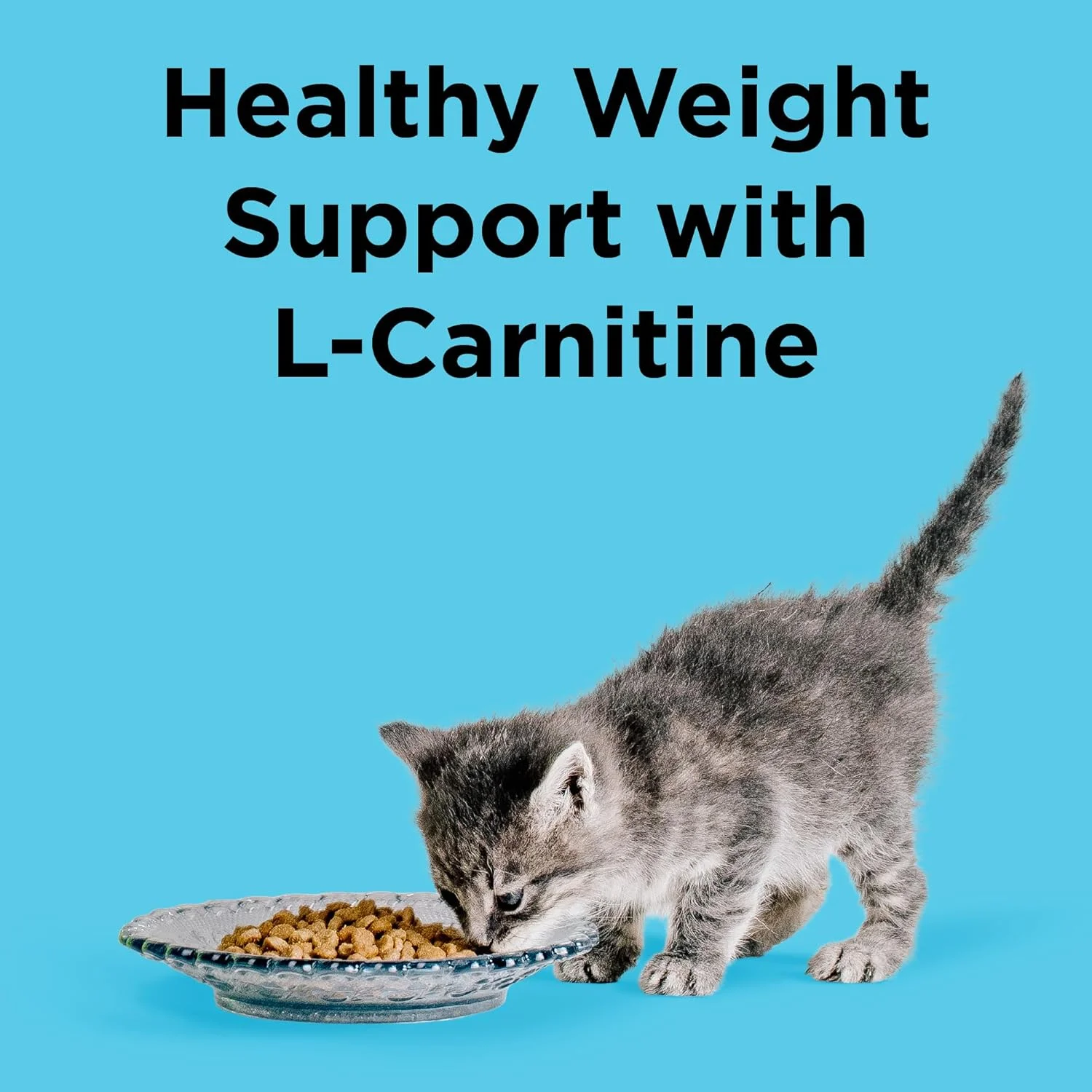 غذای خشک گربه بالغ BIXBI Liberty، با طعم مرغ و ماهی سالمون، مناسب سلامت گربه های خانگی، 1.36 کیلوگرم غذای خشک گربه بالغ BIXBI Liberty، با طعم مرغ و ماهی سالمون، مناسب سلامت گربه های خانگی، 1.36 کیلوگرم