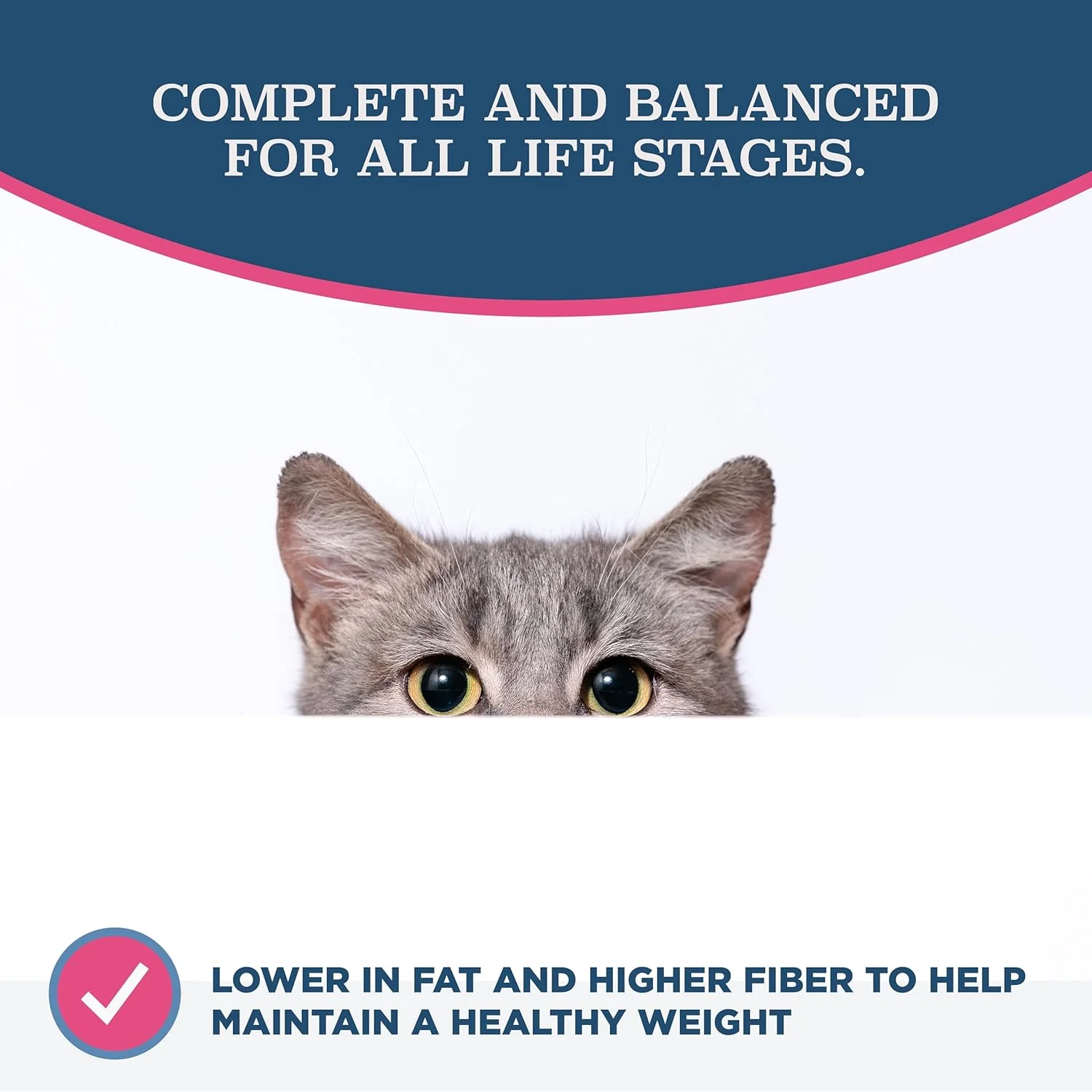 غذای خشک گربه بالغ بلک وود ساخت آمریکا [غذای فوق ممتاز برای گربه های بالغ، داخل خانه و مسن]، دستور پخت با وعده غذایی مرغ و برنج قهوه ای 4 پوندی 22331