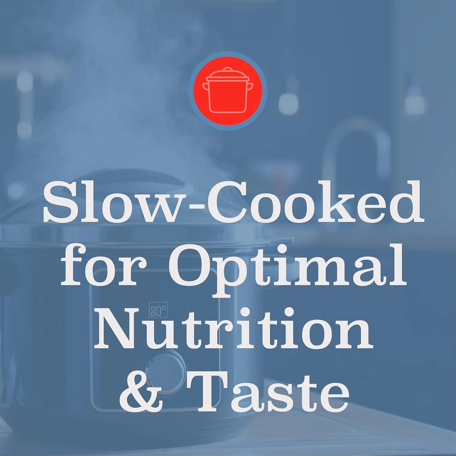 غذای خشک گربه با رژیم غذایی ویژه بلک وود، بدون غلات، با طعم مرغ و نخود فرنگی 6 کیلوگرم، 1 عدد غذای خشک گربه با رژیم غذایی ویژه بلک وود، بدون غلات، با طعم مرغ و نخود فرنگی 6 کیلوگرم، 1 عدد