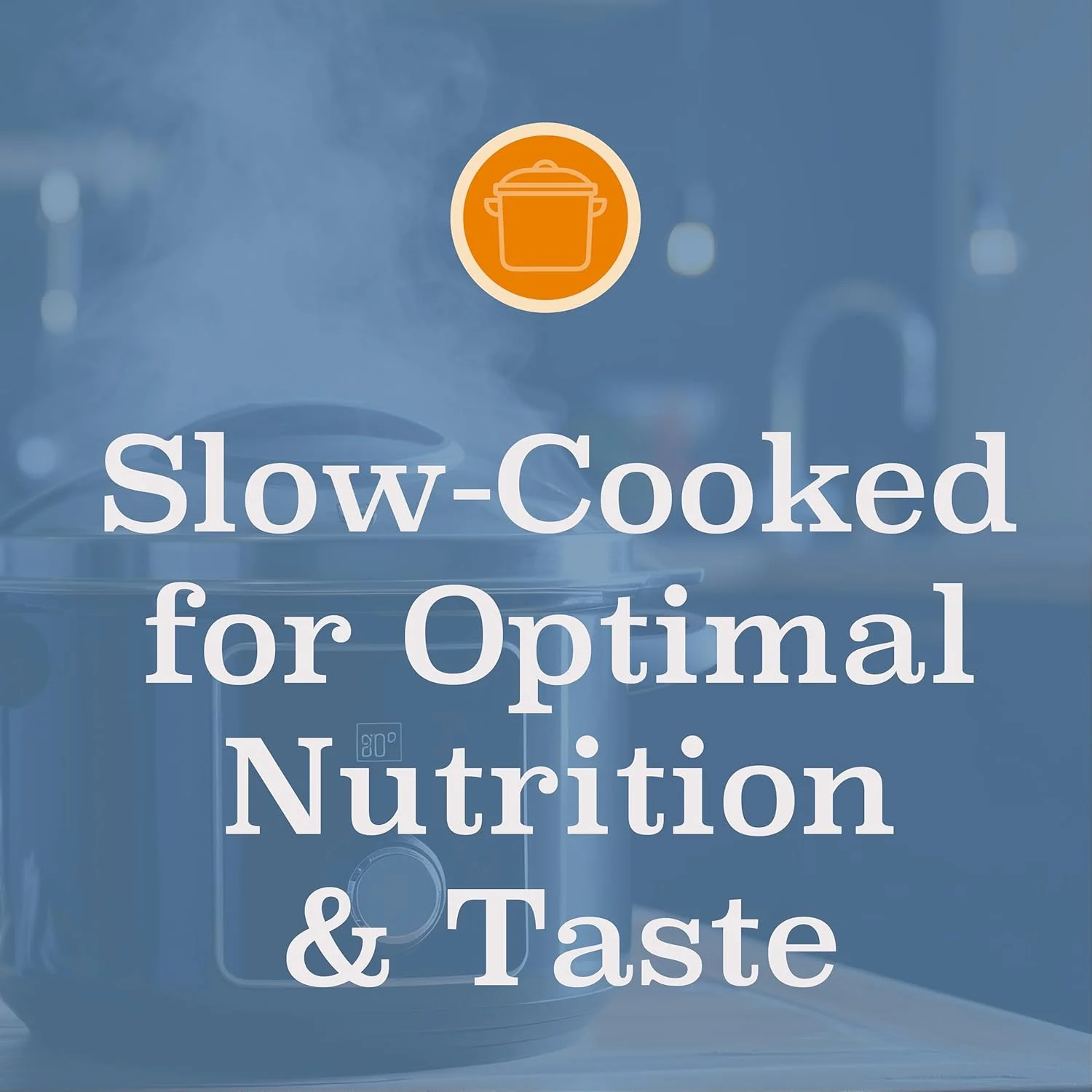 غذای خشک گربه بالغ بلک وود ساخت آمریکا [غذای فوق ممتاز برای گربه های بالغ، داخل خانه و مسن]، دستور پخت با وعده غذایی مرغ و برنج قهوه ای 4 پوندی 22333