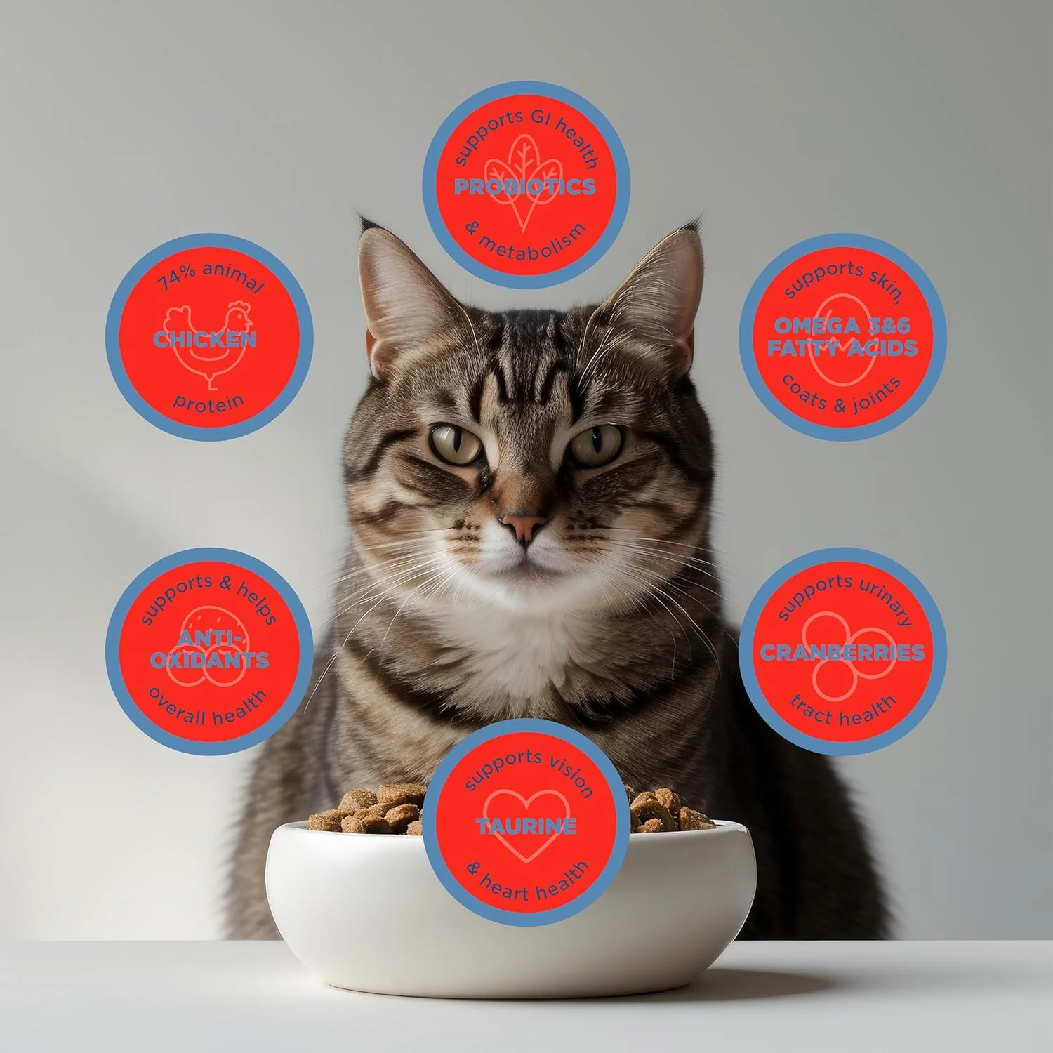 غذای خشک گربه با رژیم غذایی ویژه بلک وود، بدون غلات، با طعم مرغ و نخود فرنگی 6 کیلوگرم، 1 عدد غذای خشک گربه با رژیم غذایی ویژه بلک وود، بدون غلات، با طعم مرغ و نخود فرنگی 6 کیلوگرم، 1 عدد