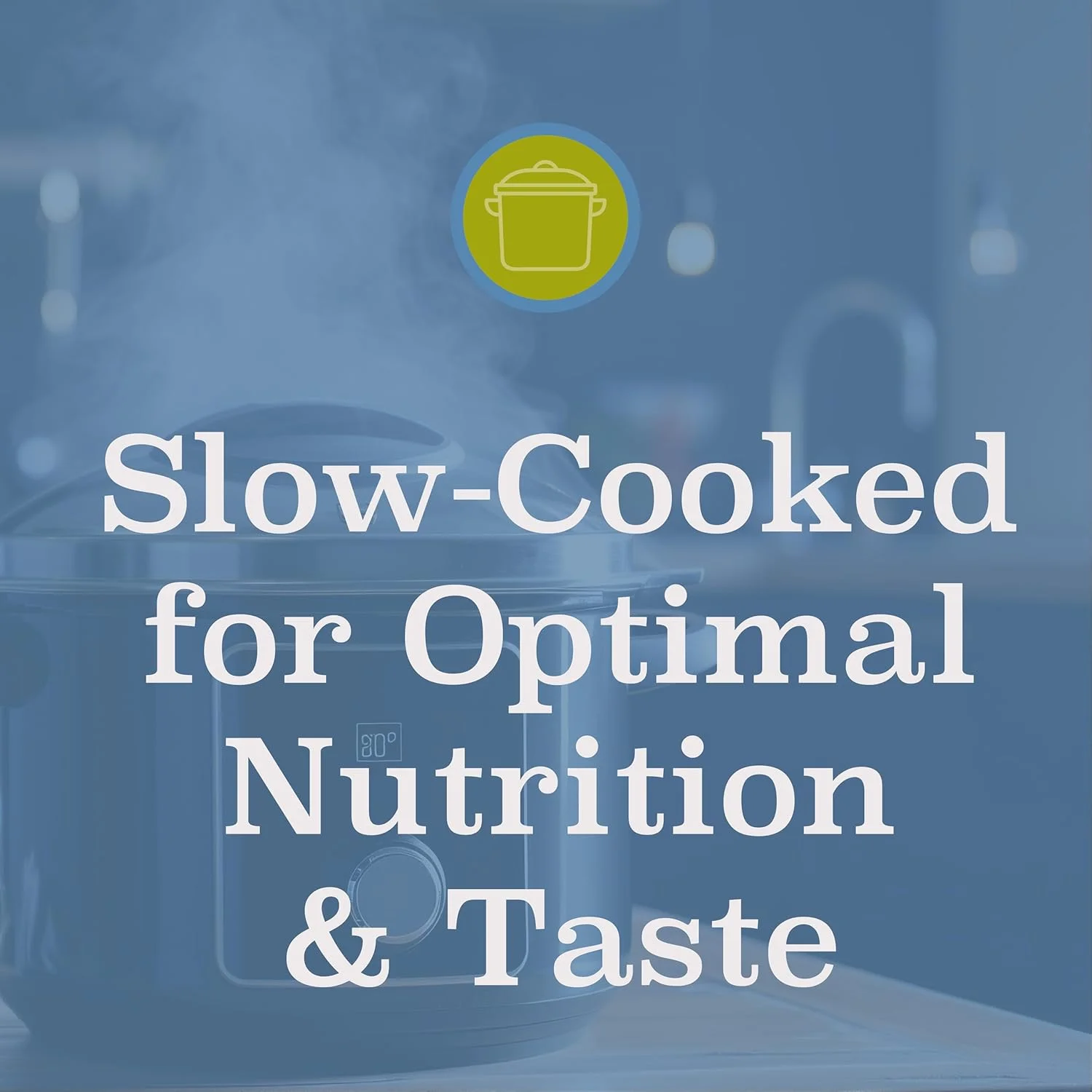 غذای خشک گربه بلک وود با طعم مرغ و برنج، رژیمی، 6 کیلوگرمی غذای خشک گربه بلک وود با طعم مرغ و برنج، رژیمی، 6 کیلوگرمی