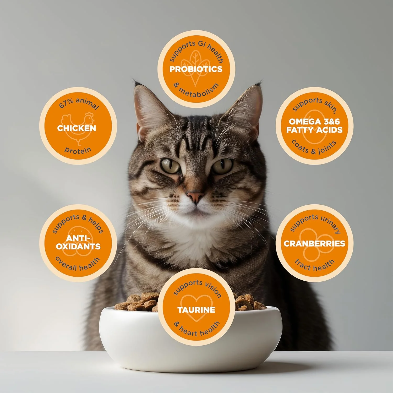 غذای خشک گربه بالغ بلک وود، ساخت آمریکا [غذای فوق ممتاز برای گربه های بالغ، داخل خانه و مسن]، با طعم مرغ و برنج قهوه ای، 6 کیلوگرمی مدل 22334