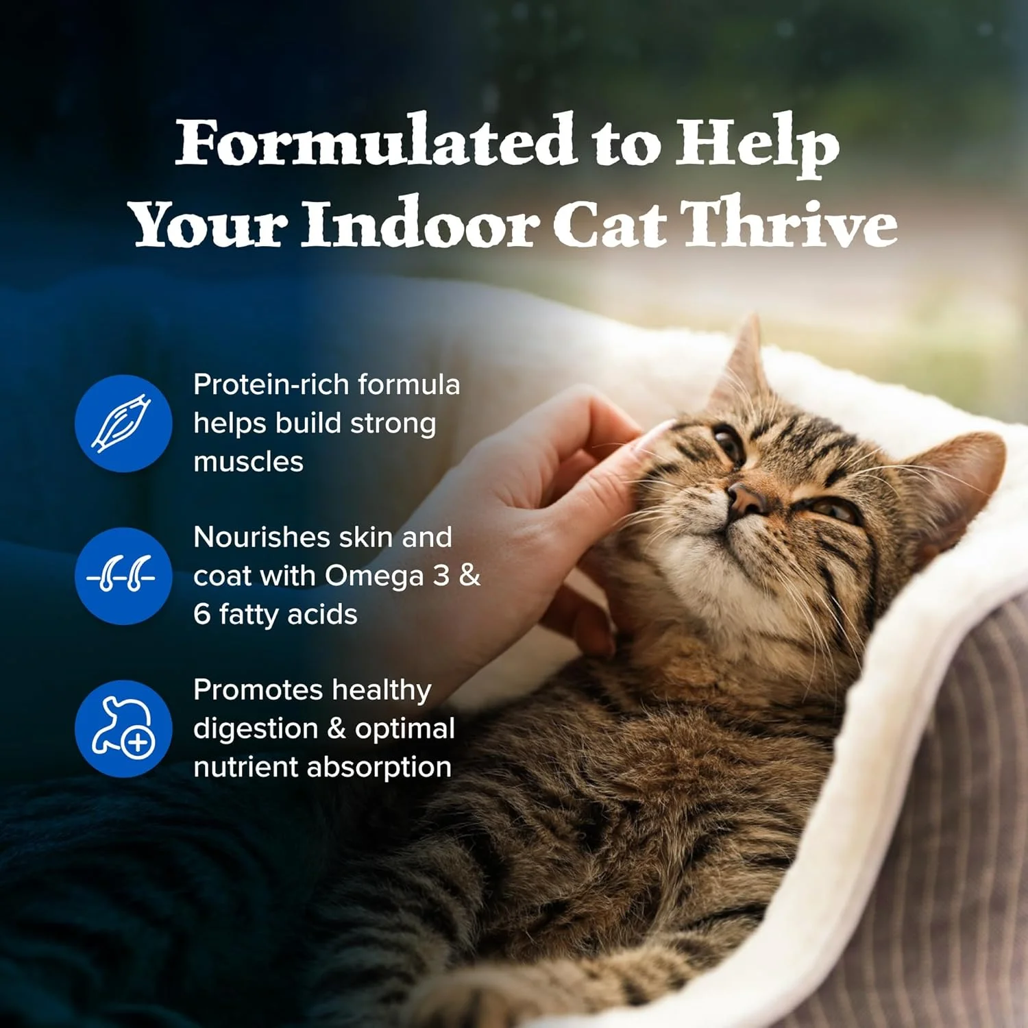 غذای خشک گربه بالغ با پروتئین بالا و طعم مرغ بلو بوفالو Wilderness، مناسب گربه های داخل خانه، 2.27 کیلوگرم غذای خشک گربه بالغ با پروتئین بالا و طعم مرغ بلو بوفالو Wilderness، مناسب گربه های داخل خانه، 2.27 کیلوگرم