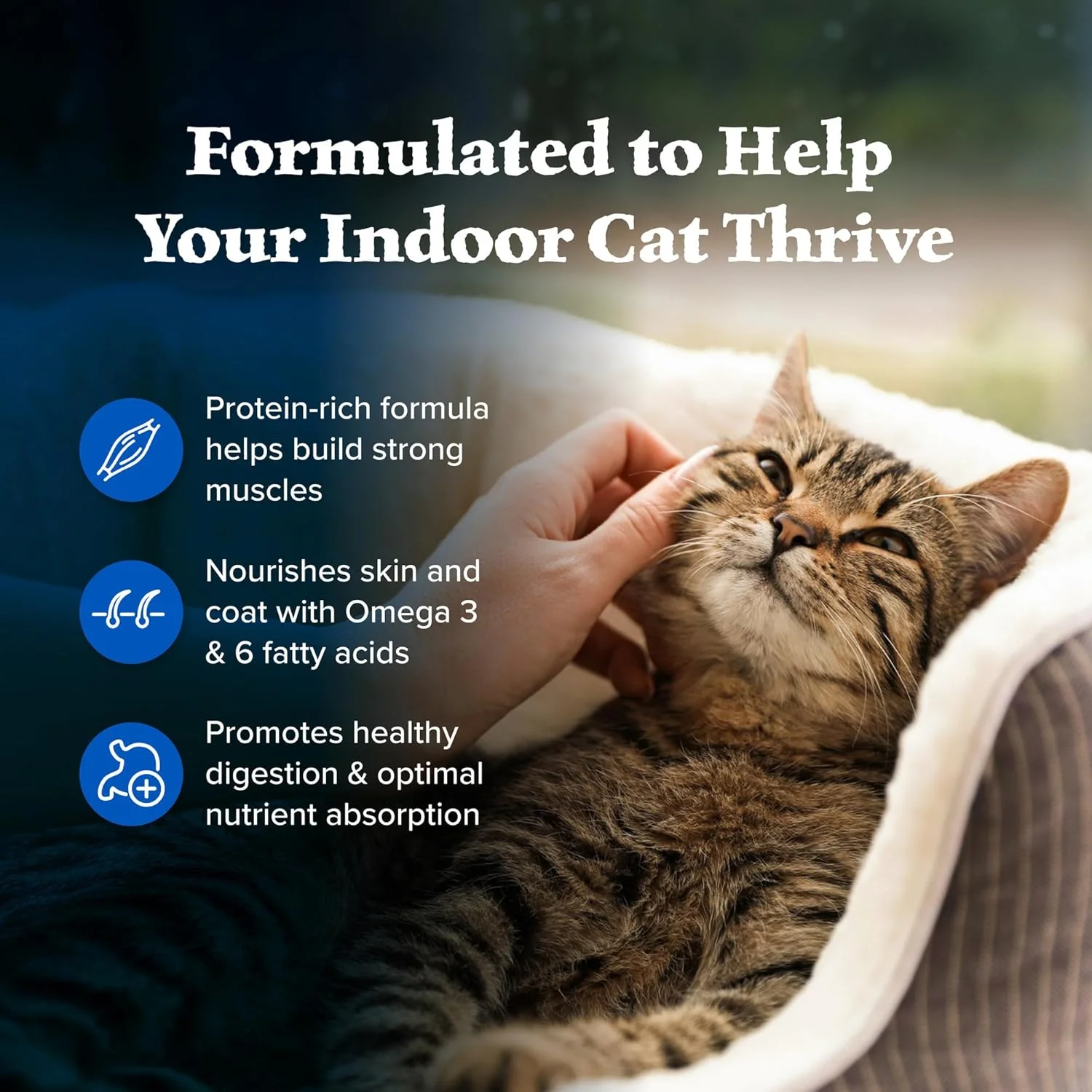 غذای خشک گربه بالغ با پروتئین بالا و طبیعی Blue Buffalo Wilderness، مرغ 11 پوندی