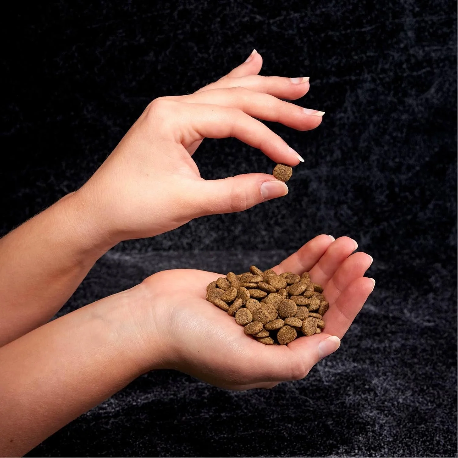 غذای خشک گربه بالغ بدون غلات CRAVE، پروتئین بالا، طبیعی، مناسب گربههای داخل خانه، با پروتئین مرغ و ماهی سالمون، کیسه 10 پوندی غذای خشک گربه بالغ بدون غلات CRAVE، پروتئین بالا، طبیعی، مناسب گربههای داخل خانه، با پروتئین مرغ و ماهی سالمون، کیسه 10 پوندی
