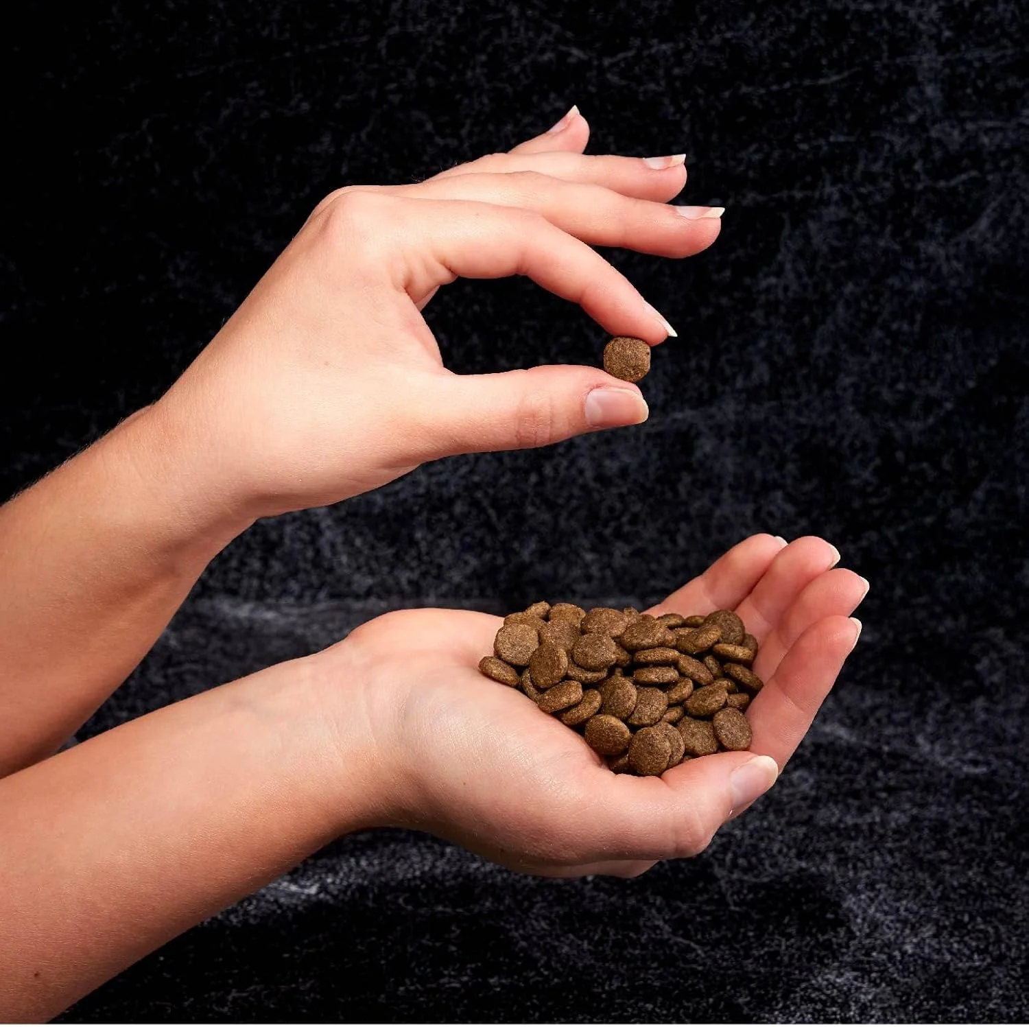 غذای خشک گربه بالغ بدون غلات با پروتئین بالا CRAVE، مرغوب، 1.8 کیلوگرم غذای خشک گربه بالغ بدون غلات با پروتئین بالا CRAVE، مرغوب، 1.8 کیلوگرم