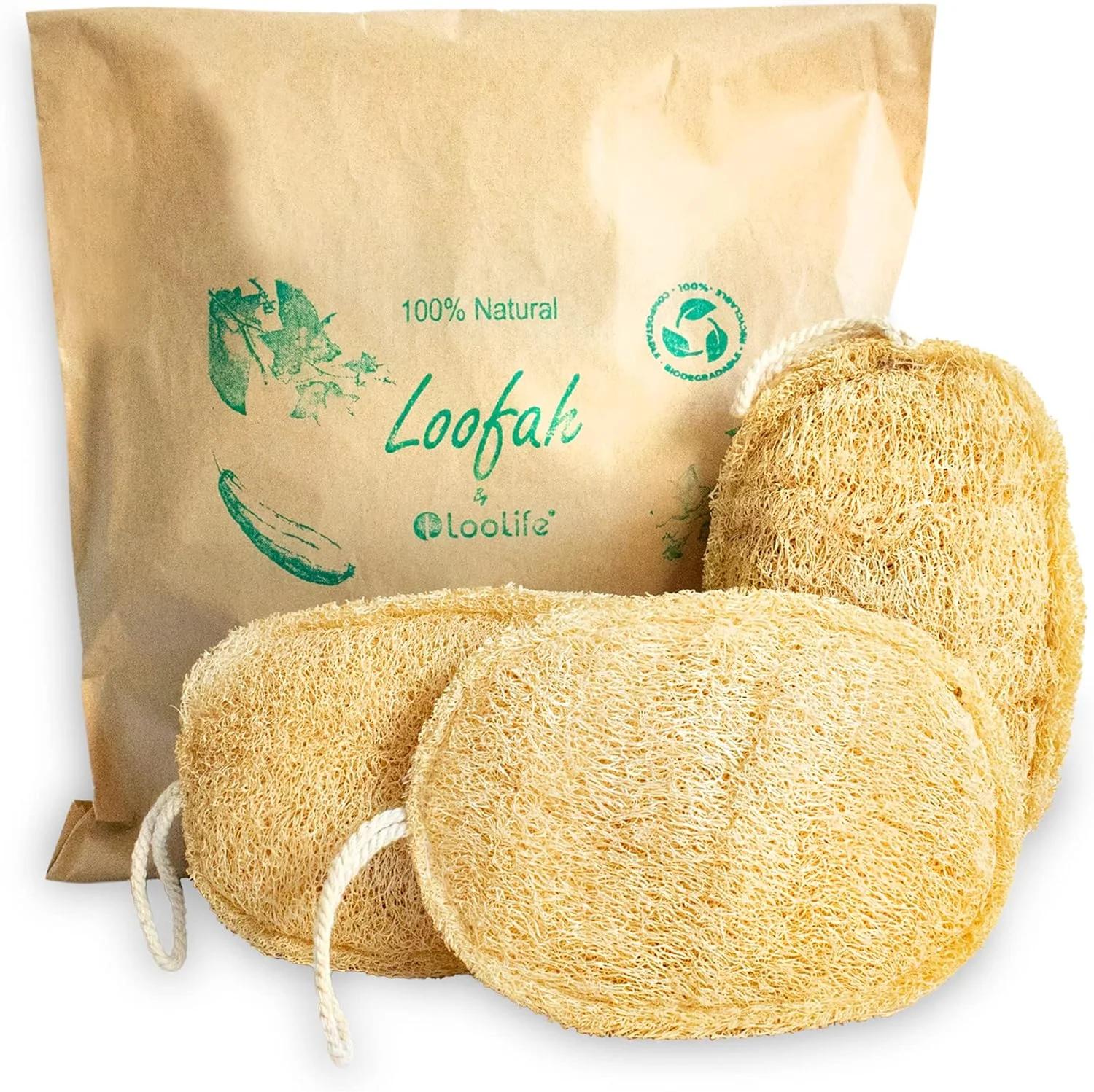 اسفنج لوفا لایه بردار 100% طبیعی (بسته 3 عددی) - اسکرابر بدن لوفا - اسفنج لوفا - پد لوفا ارگانیک - اسفنج لایه بردار بدن - لوفا زیست تخریب پذیر - اسفنج لوفا حمام - لوفا لایه بردار