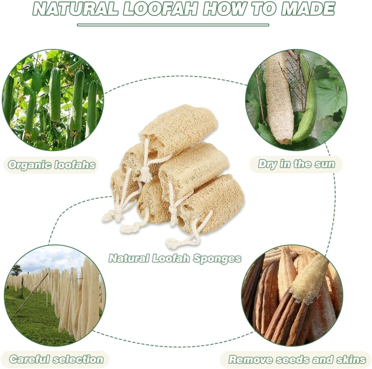 اسفنج لوفا طبیعی یونییکینگ® برای شستشوی بدن، بسته 6 عددی 4 اینچی، لوفای ارگانیک برای لایه برداری و پاکسازی ملایم پوست، ایده آل برای آقایان و بانوان، استفاده در اسپا و حمام اسفنج لوفا طبیعی یونییکینگ® برای شستشوی بدن، بسته 6 عددی 4 اینچی، لوفای ارگانیک برای لایه برداری و پاکسازی ملایم پوست، ایده آل برای آقایان و بانوان، استفاده در اسپا و حمام