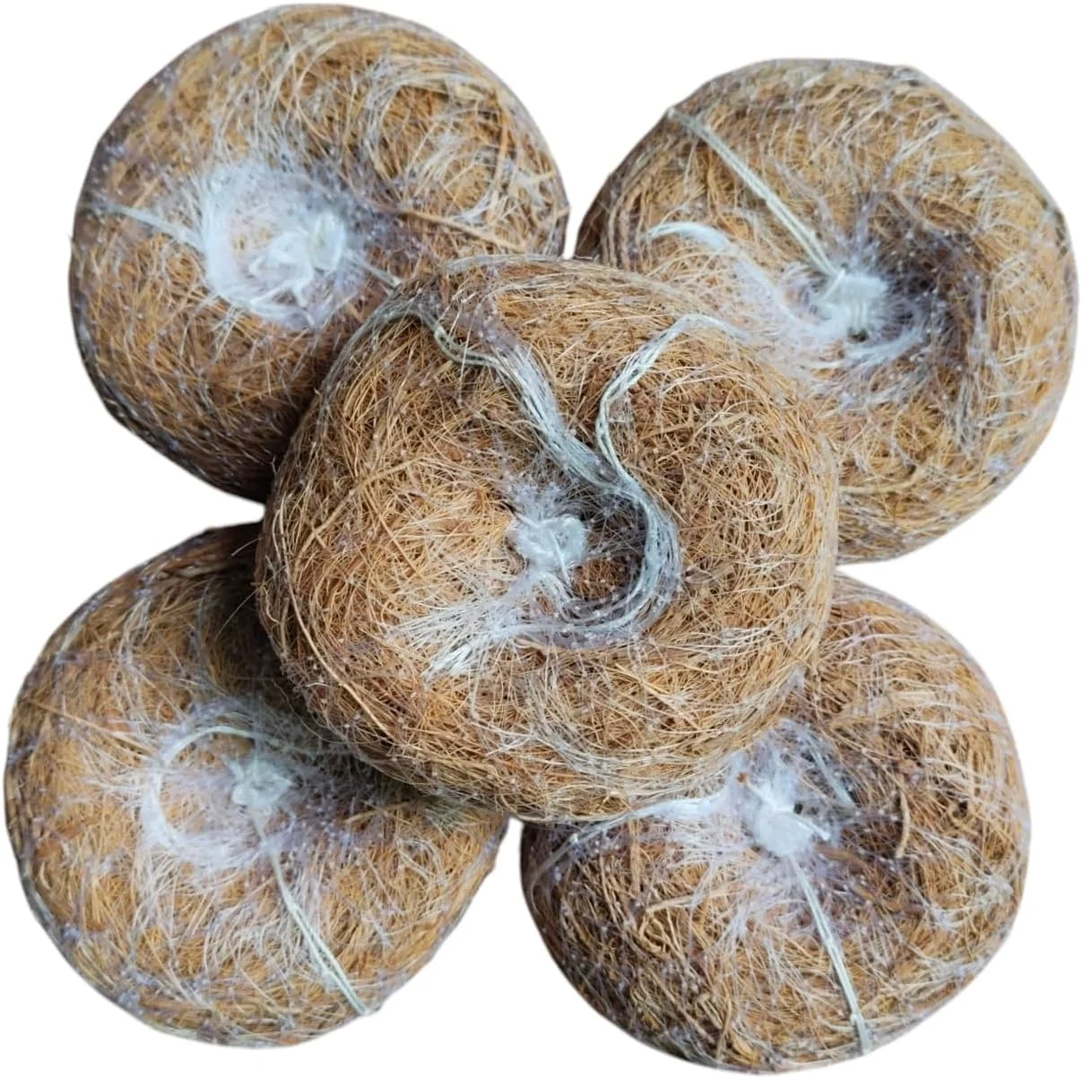 پدهای لوفا اسکراب وتیور LJL Traders، اسکرابرهای دست ساز آیورودا کرالا Ramacham، ریشه های خس، لوفای گرد ارگانیک لایه بردار پوست و برس های اسفنجی حمام، بسته 5 عددی