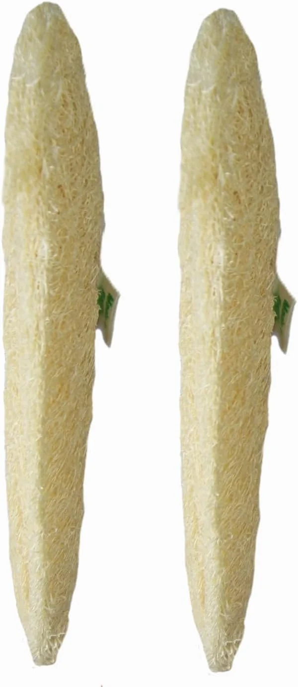 لیف اسفنجی طبیعی برای مراقبت از بدن