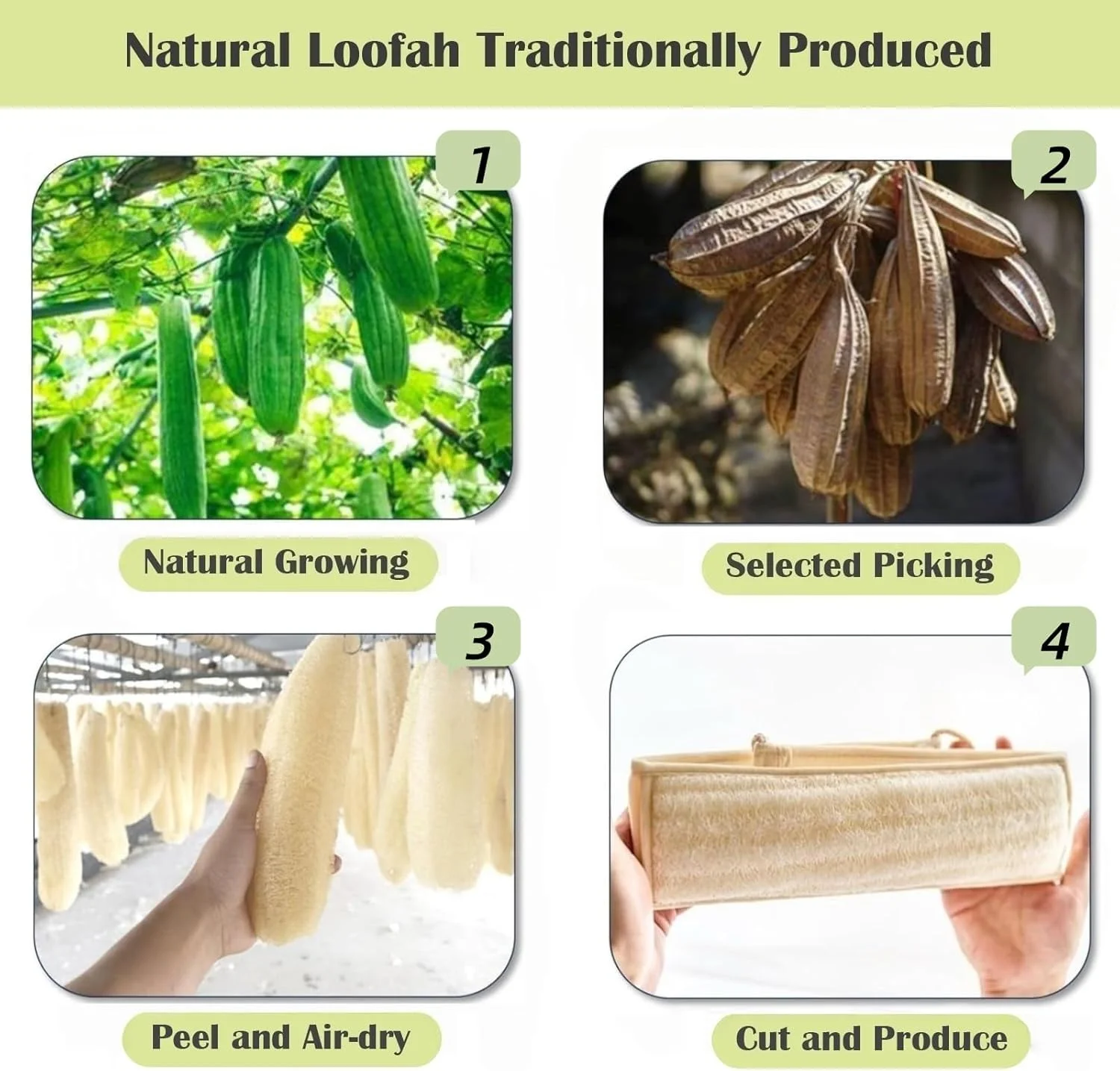 Large Natural Loofah Sponge Back Scrubber for Bath Shower, Exfoliating Body Scrubber, Shower Loofah Scrubber for Women and Men, Bath Sponge, Luffa Scrub to Clean Your Body Deeply, Invigorate Skin