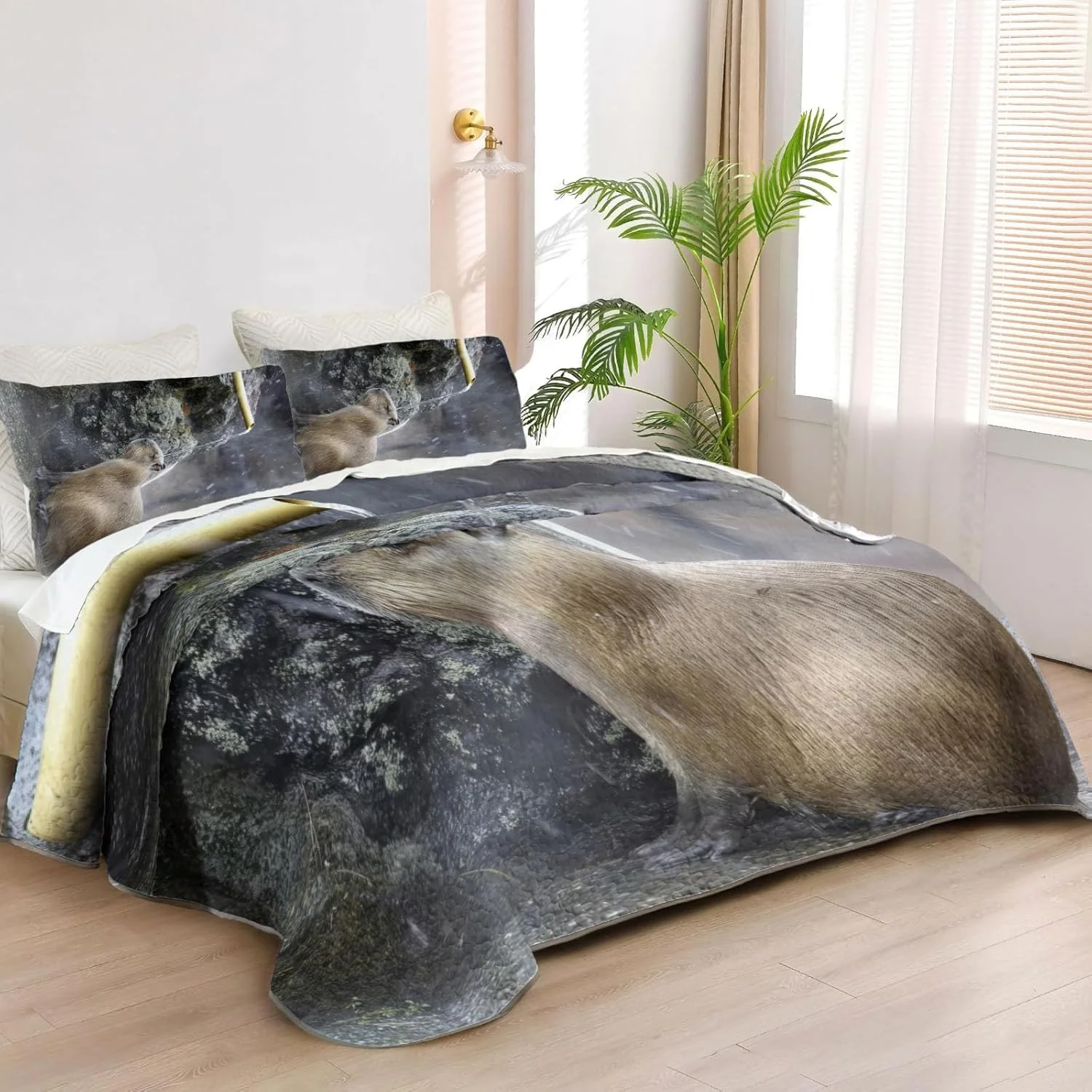 روتختی لحافی سایز کوئین آلن جو طرح کاپيبارا، ست روتختی کاپيبارا، روکش لحاف پارچه ای قابل شستشو با 2 روبالشی SC00292-007