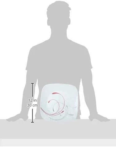 سرویس غذاخوری 18 پارچه کورل مدل Splendor، مقاوم در برابر لب پر شدن، مناسب برای 6 نفر، بشقاب غذاخوری 10-1/4 اینچی، سفید سرویس غذاخوری 18 پارچه کورل مدل Splendor، مقاوم در برابر لب پر شدن، مناسب برای 6 نفر، بشقاب غذاخوری 10-1/4 اینچی، سفید