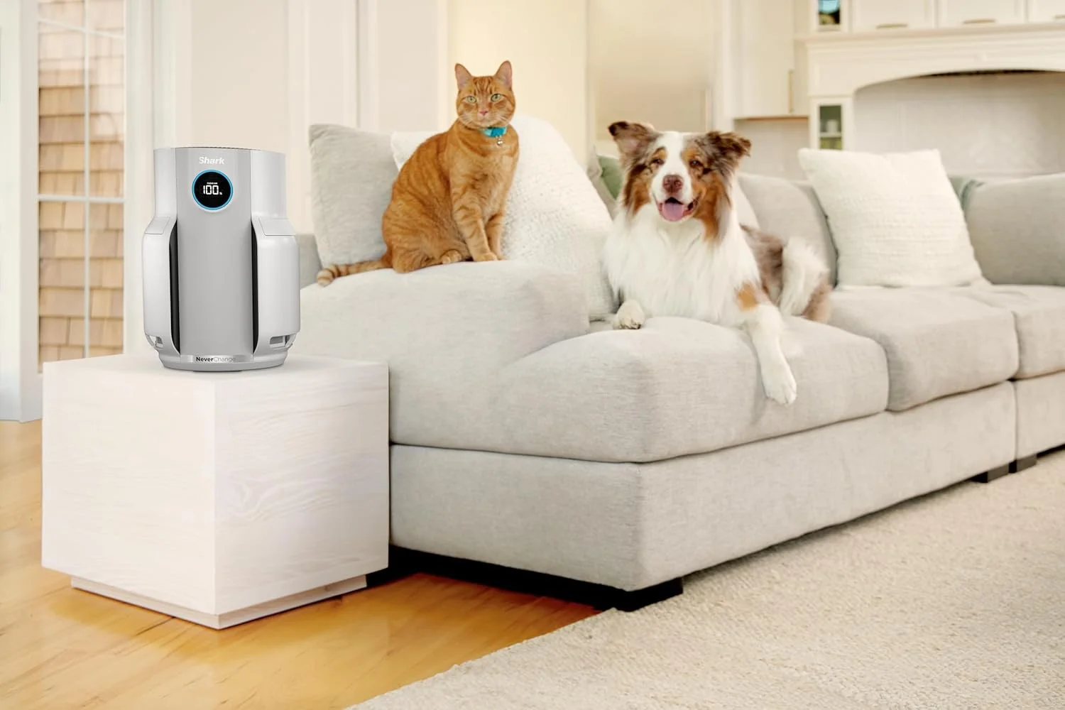 دستگاه تصفیه هوای شارک NeverChange با فیلتر HEPA تا 5 سال، مناسب خانه و اتاق خواب، پوشش دهی 60 متر مربع، جذب 99.97% آلرژن ها، گرده، ذرات حیوانات خانگی، صفحه نمایش LED بی صدا، سفید مدل HP150EU دستگاه تصفیه هوای شارک NeverChange با فیلتر HEPA تا 5 سال، مناسب خانه و اتاق خواب، پوشش دهی 60 متر مربع، جذب 99.97% آلرژن ها، گرده، ذرات حیوانات خانگی، صفحه نمایش LED بی صدا، سفید مدل HP150EU