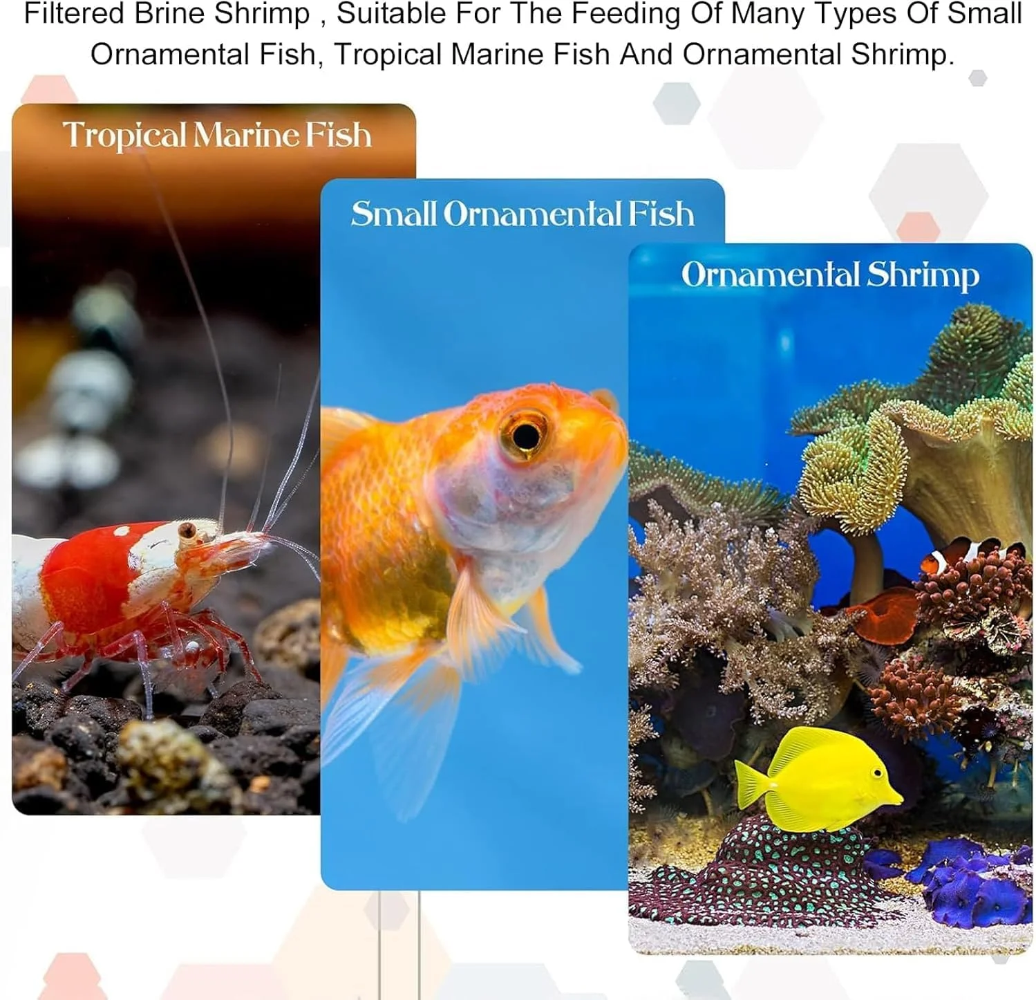 تور بچه میگو Bubble Magus، الک توری 80 و 200 مش و کیت لوله های جمع آوری و ظرف ذخیره سازی بچه میگو، مناسب برای پرورش حرفه ای و نگهداری منجمد بچه ماهی