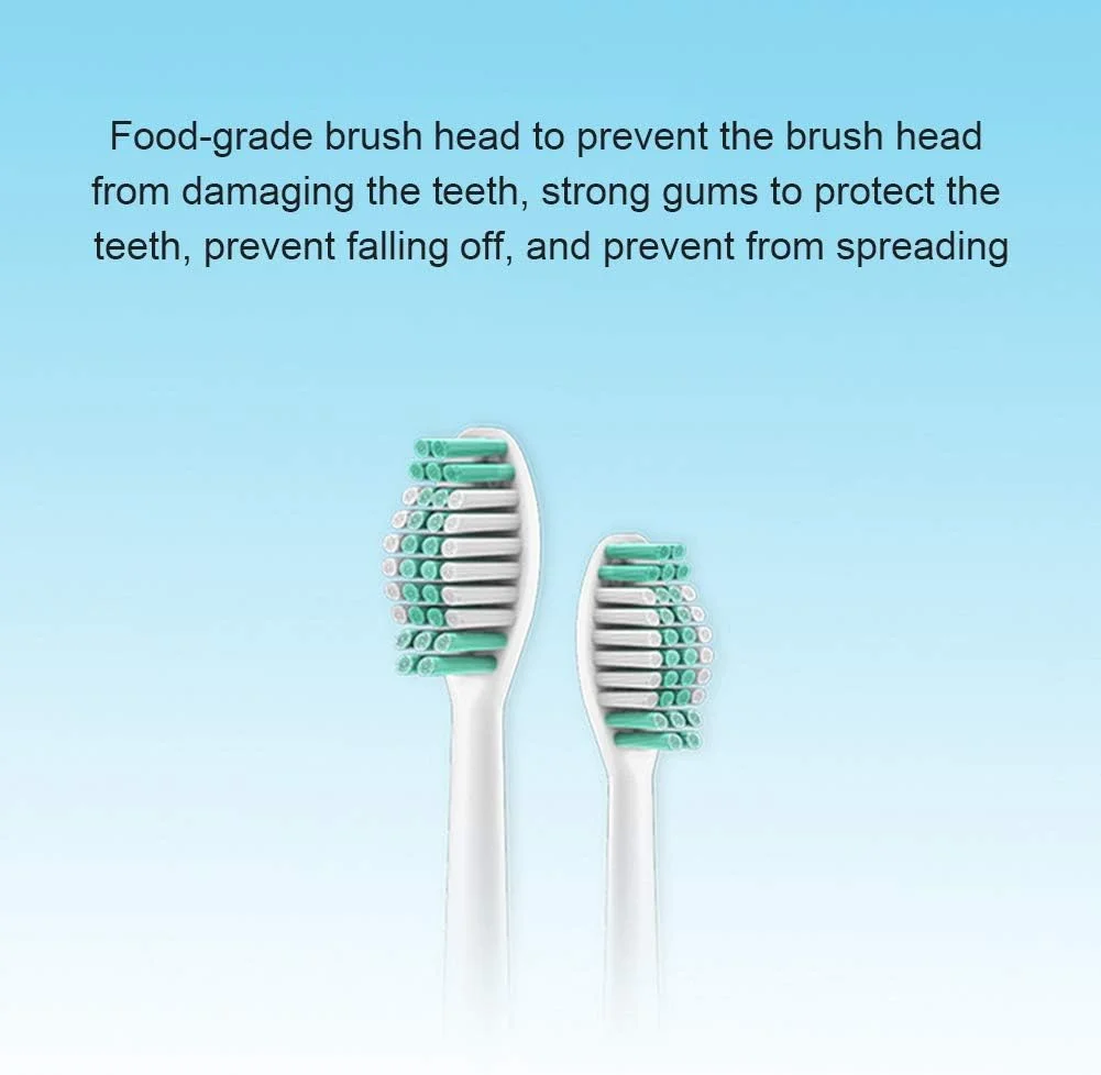 Sonic Electric Toothbrush with USB Charging, Travel Toothbrush with 2 Brush Heads, 5 Cleaning Modes, 2 Mins Smart Timer, 31,000 Vibrations Per Minute,Black