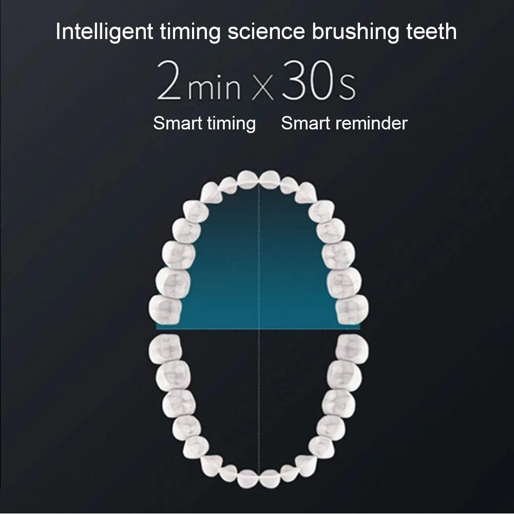 مسواک برقی با 6 حالت انتخابی، قابل شارژ USB، مسواک صوتی سفید کننده، مسواک مسافرتی با 4 سر مسواک برای بزرگسالان، مناسب سفر یا خانه، صورتی مسواک برقی با 6 حالت انتخابی، قابل شارژ USB، مسواک صوتی سفید کننده، مسواک مسافرتی با 4 سر مسواک برای بزرگسالان، مناسب سفر یا خانه، صورتی