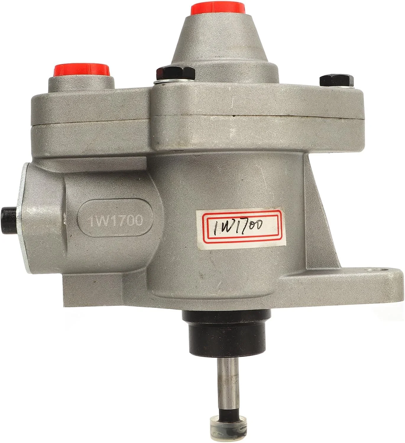 پمپ انتقال سوخت RIZGHWOY مدل 3406B 1W1700 3406C چدن برای 3406B 3406C مصارف خانگی، میادین نفتی، تزریق پیستونی