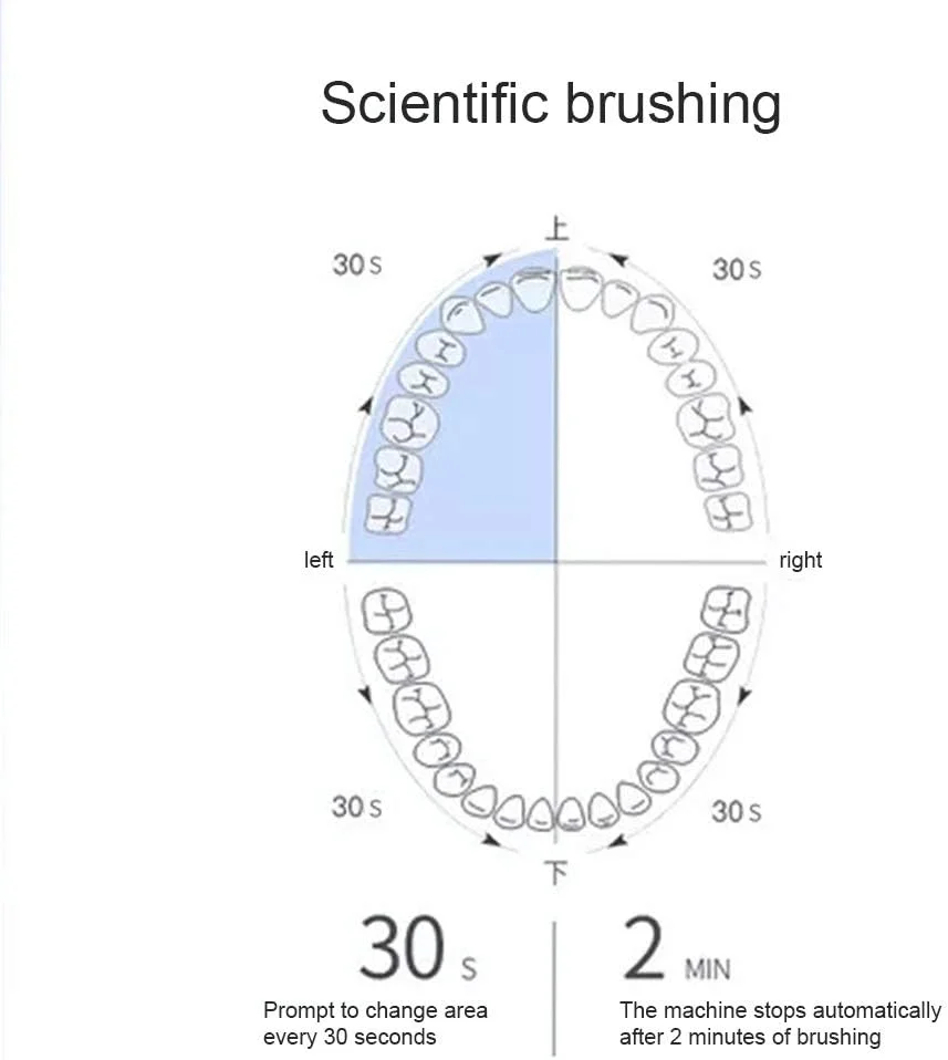 مسواک برقی GYNFJK، تمیز کننده صوتی، قابل شارژ با USB، دارای تایمر هوشمند، مسواک مسافرتی با 2 سری برس و 4 حالت، ضد آب IPX7، مناسب برای خانه یا مسافرت، سفید