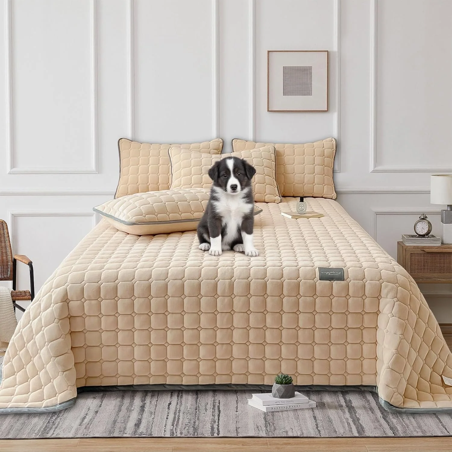 SHANNA Extra Large Duvet Bedspread: Light Milk Velvet 3-Piece Bedspread 230 x 250 cm with 2 Pillowcases 50 x 70 cm Elegant Double Bed Lined and Quilted for Living Room (Hellkamel)