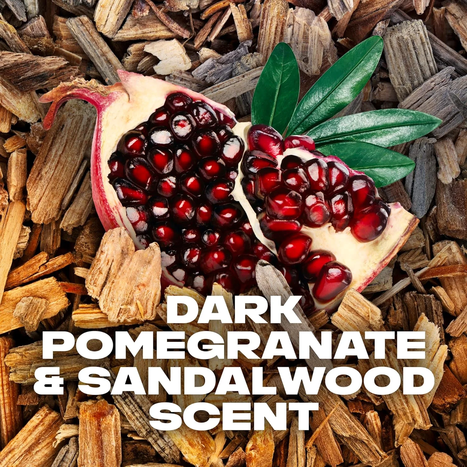 استیک ضد تعریق مردانه AXE Dual Action برای طراوت ماندگار، انار تیره و چوب صندل، ضد تعریق 48 ساعته، 76 گرم استیک ضد تعریق مردانه AXE Dual Action برای طراوت ماندگار، انار تیره و چوب صندل، ضد تعریق 48 ساعته، 76 گرم