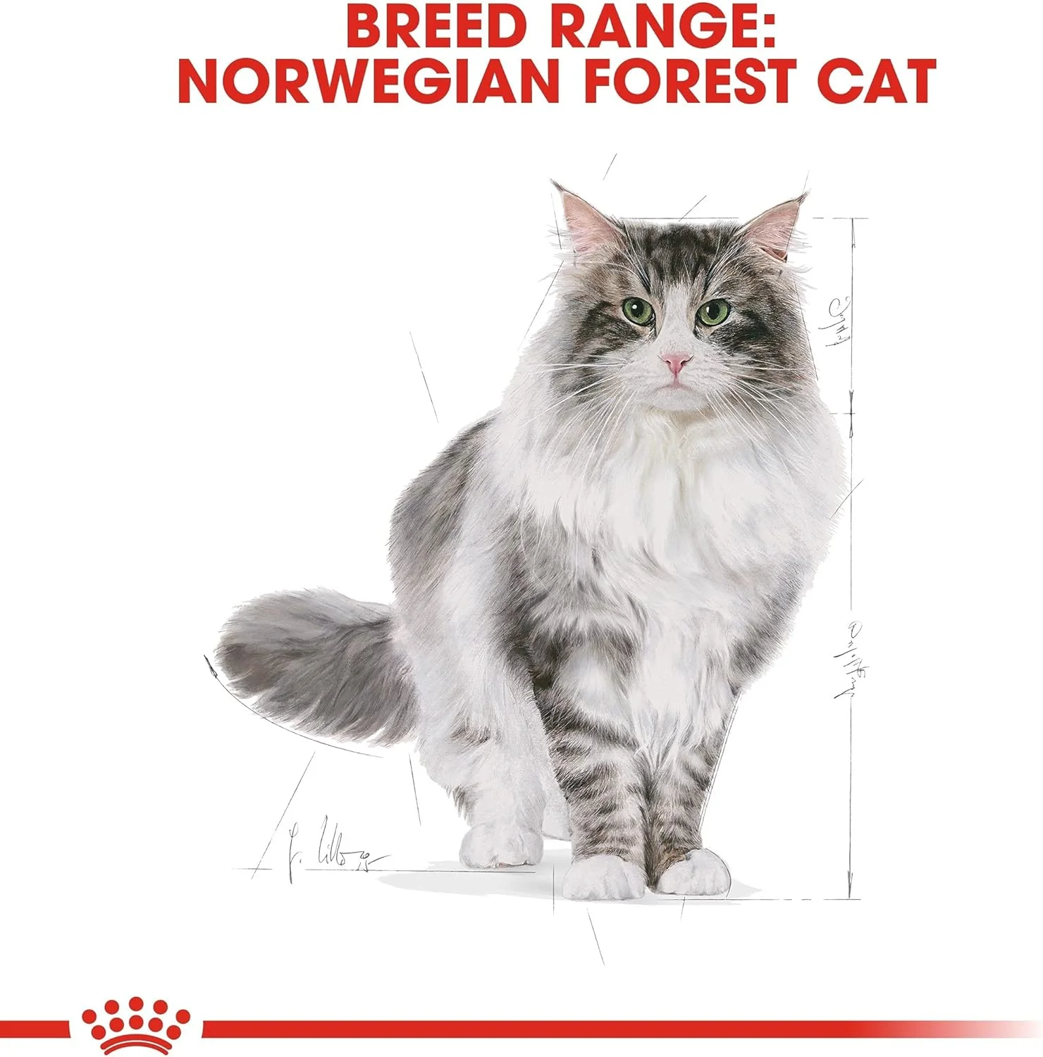 Feline Breed Nutrition Norwegian Forest Cat 2 Kg