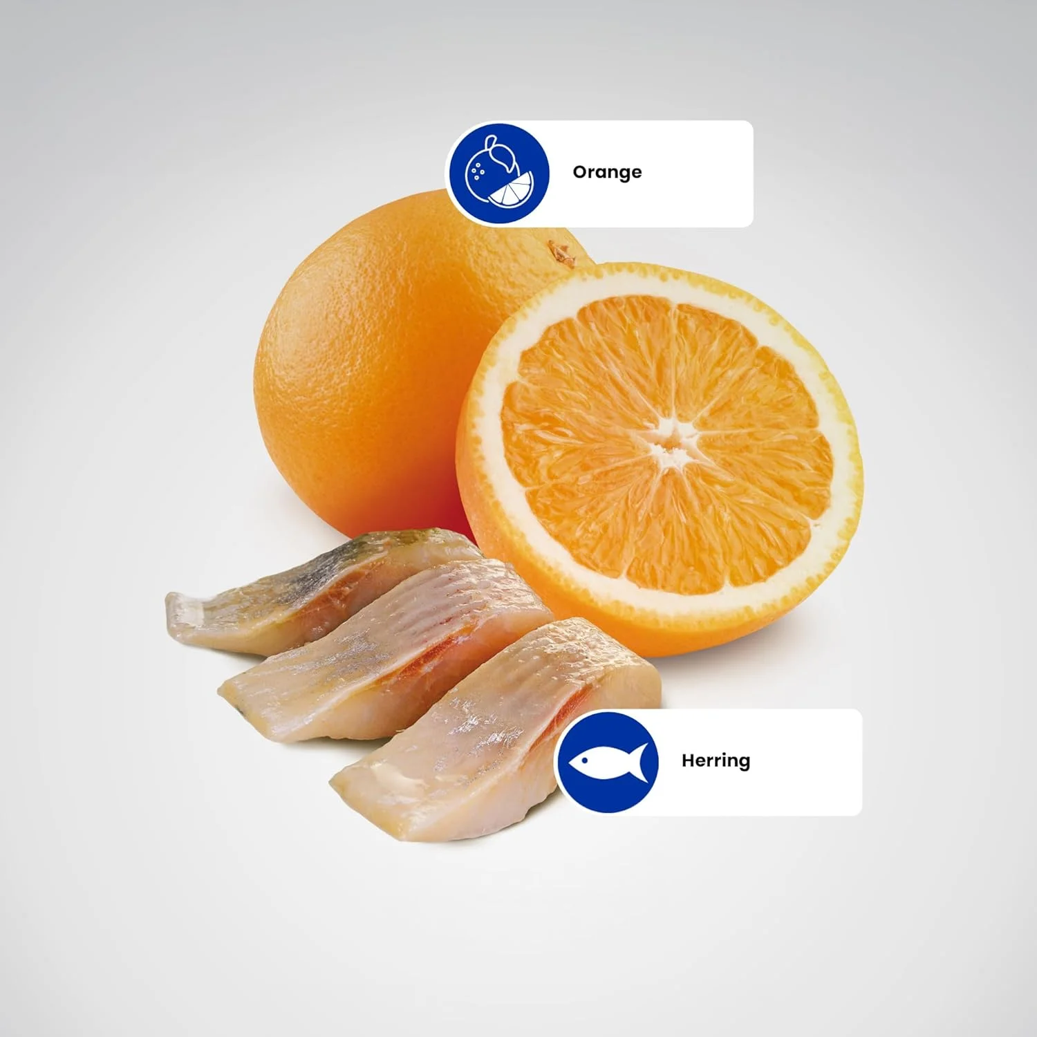 غذای خشک گربه بالغ فارمینا N&D Ocean با طعم شاه ماهی و پرتقال - 1.5 کیلوگرم غذای خشک گربه بالغ فارمینا N&D Ocean با طعم شاه ماهی و پرتقال - 1.5 کیلوگرم