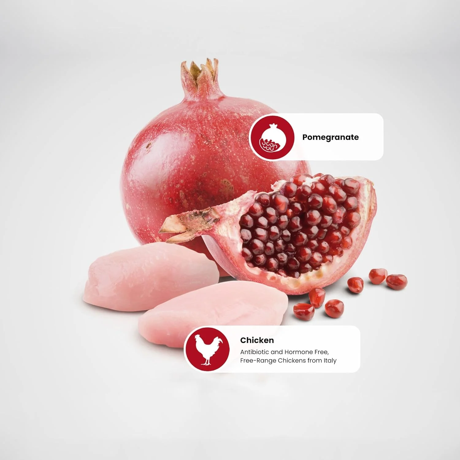 غذای خشک بچه گربه فارمینا N&D پرایم با طعم مرغ و انار - 1.5 کیلوگرم غذای خشک بچه گربه فارمینا N&D پرایم با طعم مرغ و انار - 1.5 کیلوگرم