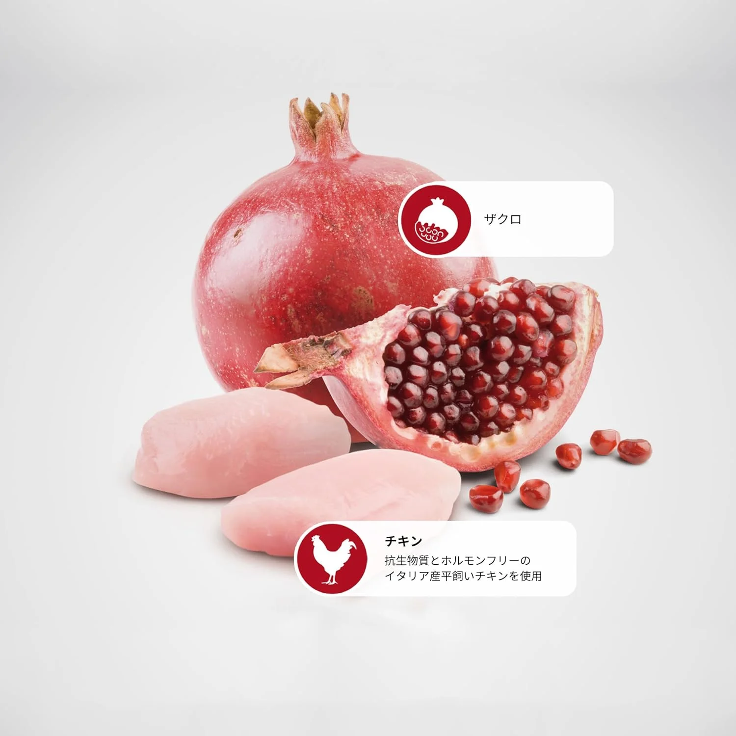 غذای خشک گربه بالغ فارمینا N&D پرایم با طعم مرغ و انار - 1.5 کیلوگرم غذای خشک گربه بالغ فارمینا N&D پرایم با طعم مرغ و انار - 1.5 کیلوگرم