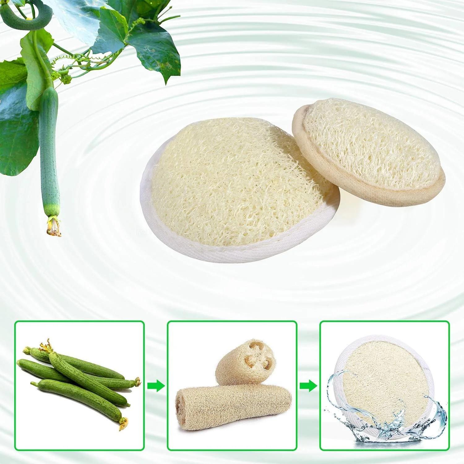 Aznrszy Exfoliating Loofah Pad, Loofah Men Face Exfoliator Pads 100% Natural, Manual Face Scrubber Body Brush 2 Sizes for Women and Men 10 Pcs - تصویر 2 Aznrszy Exfoliating Loofah Pad, Loofah Men Face Exfoliator Pads 100% Natural, Manual Face Scrubber Body Brush 2 Sizes for Women and Men 10 Pcs - تصویر 2
