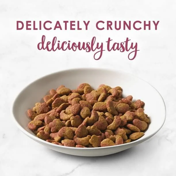 بسته متنوع غذای گربه گورمت فیست پورینا (فیله مینیون + مرغ بوقلمون) بسته متنوع غذای گربه گورمت فیست پورینا (فیله مینیون + مرغ بوقلمون)